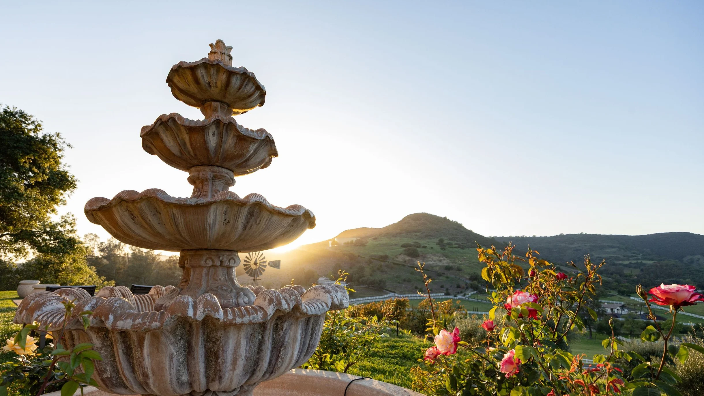 Wander Temecula Estates #55