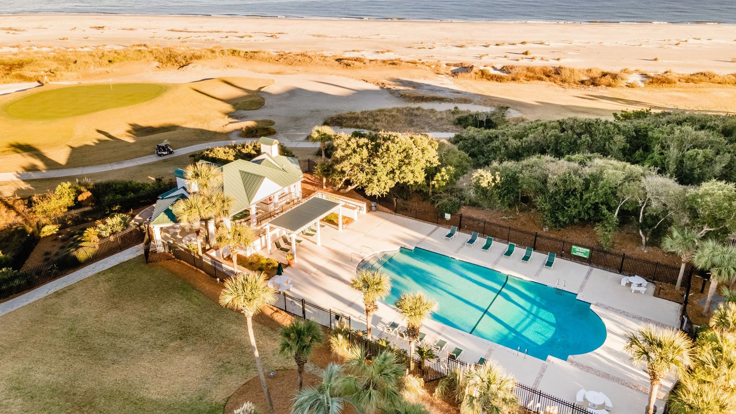Wander Palms Tides #56