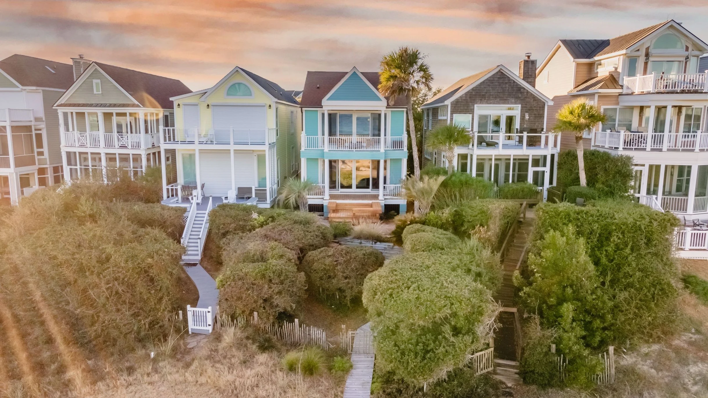 Wander Palms Tides #49