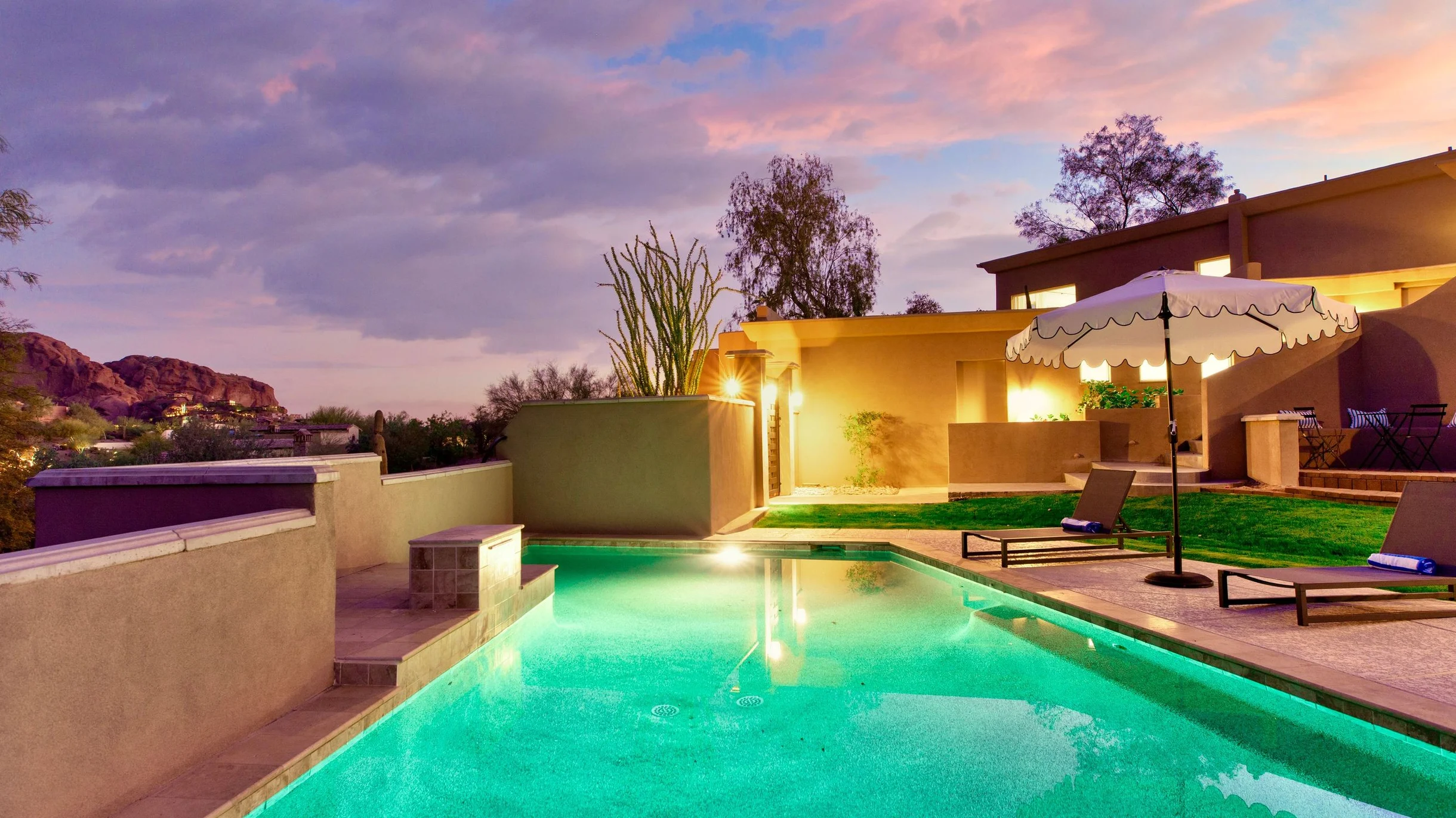 Wander Paradise Valley Cactus #75