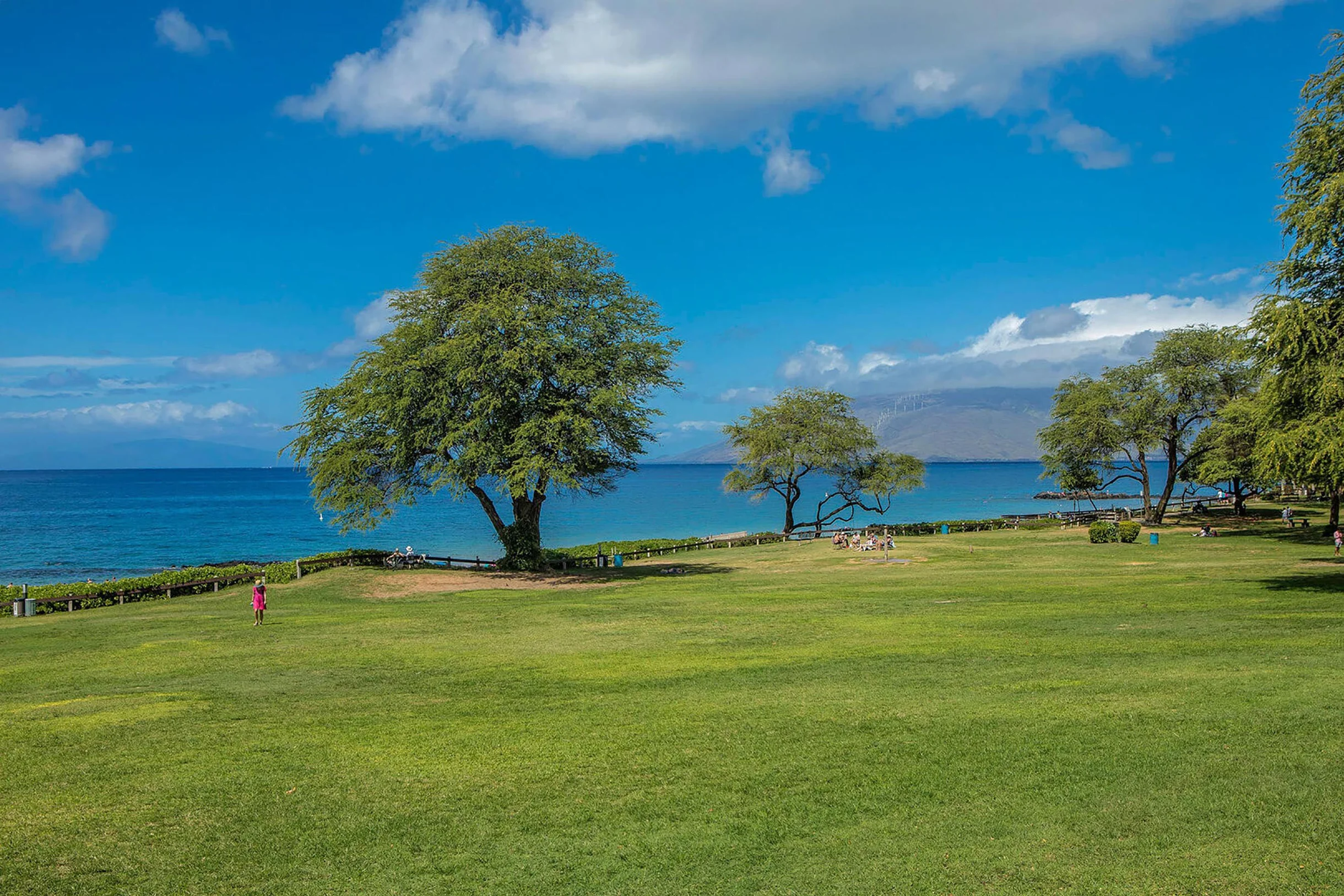 Kamaole Sands 10-403 #74