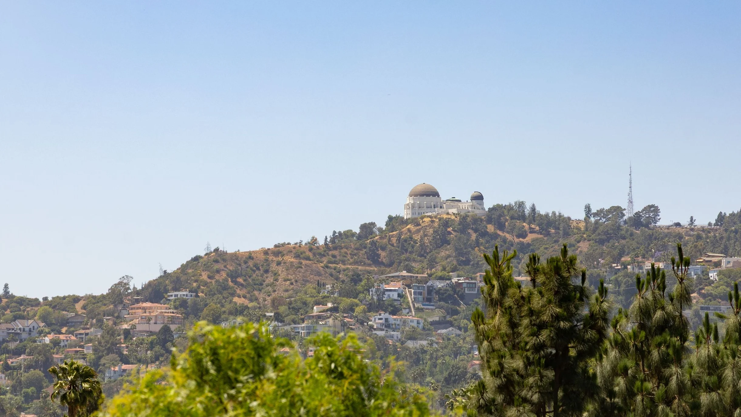 Wander Los Feliz Hills #91