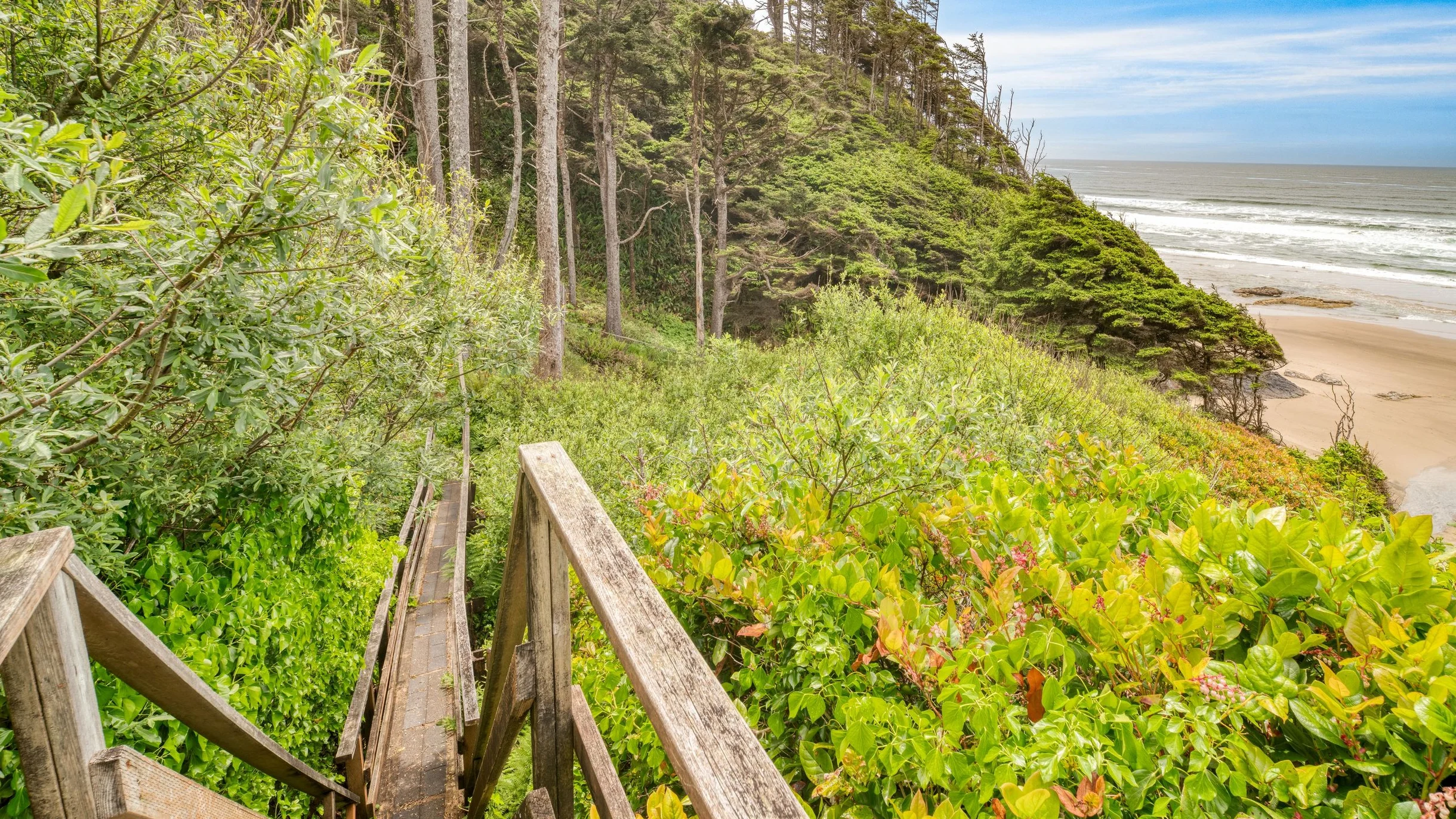Wander Arch Cape Cliffs #78