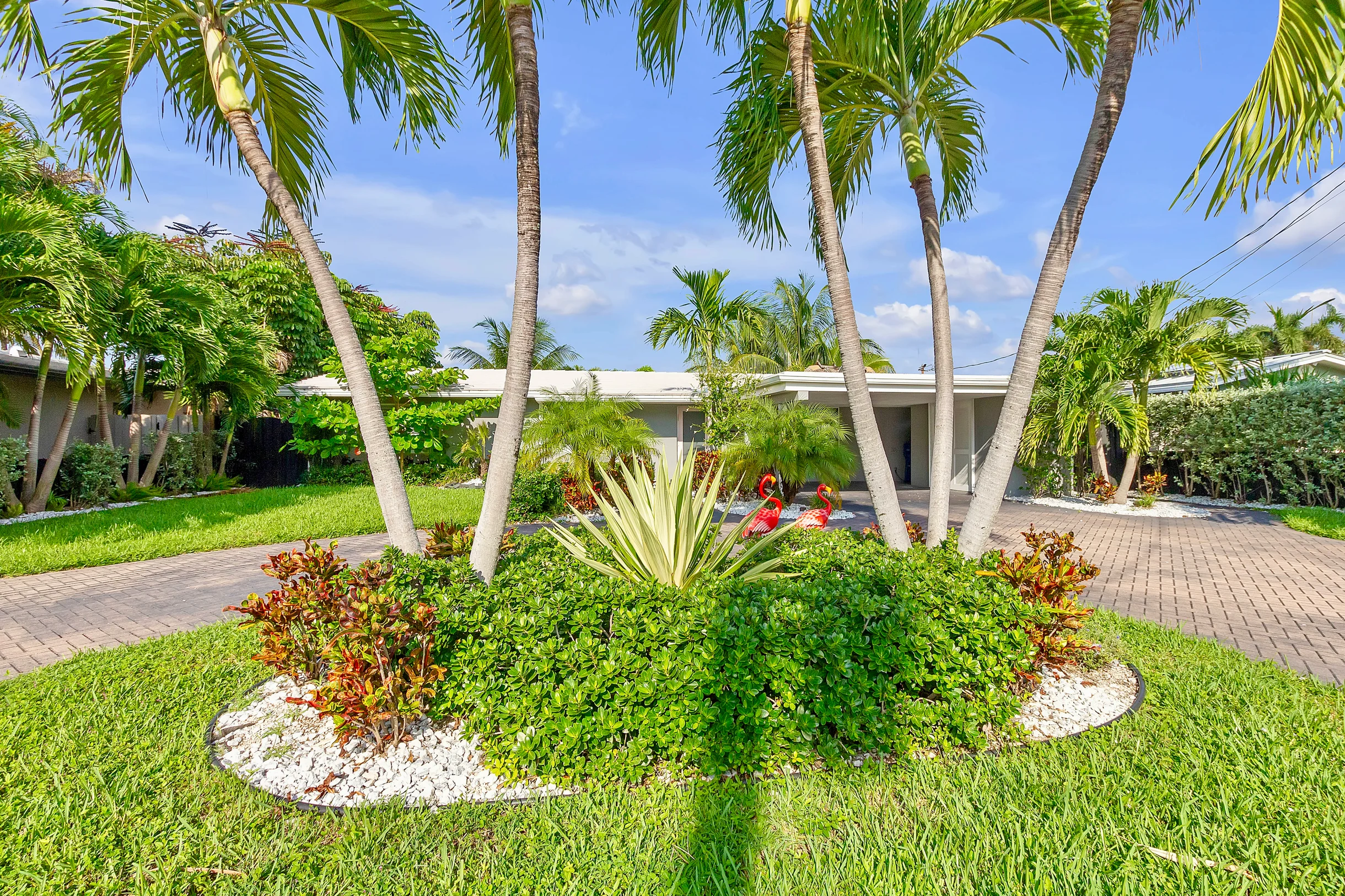 Wander Wilton Manors River #56