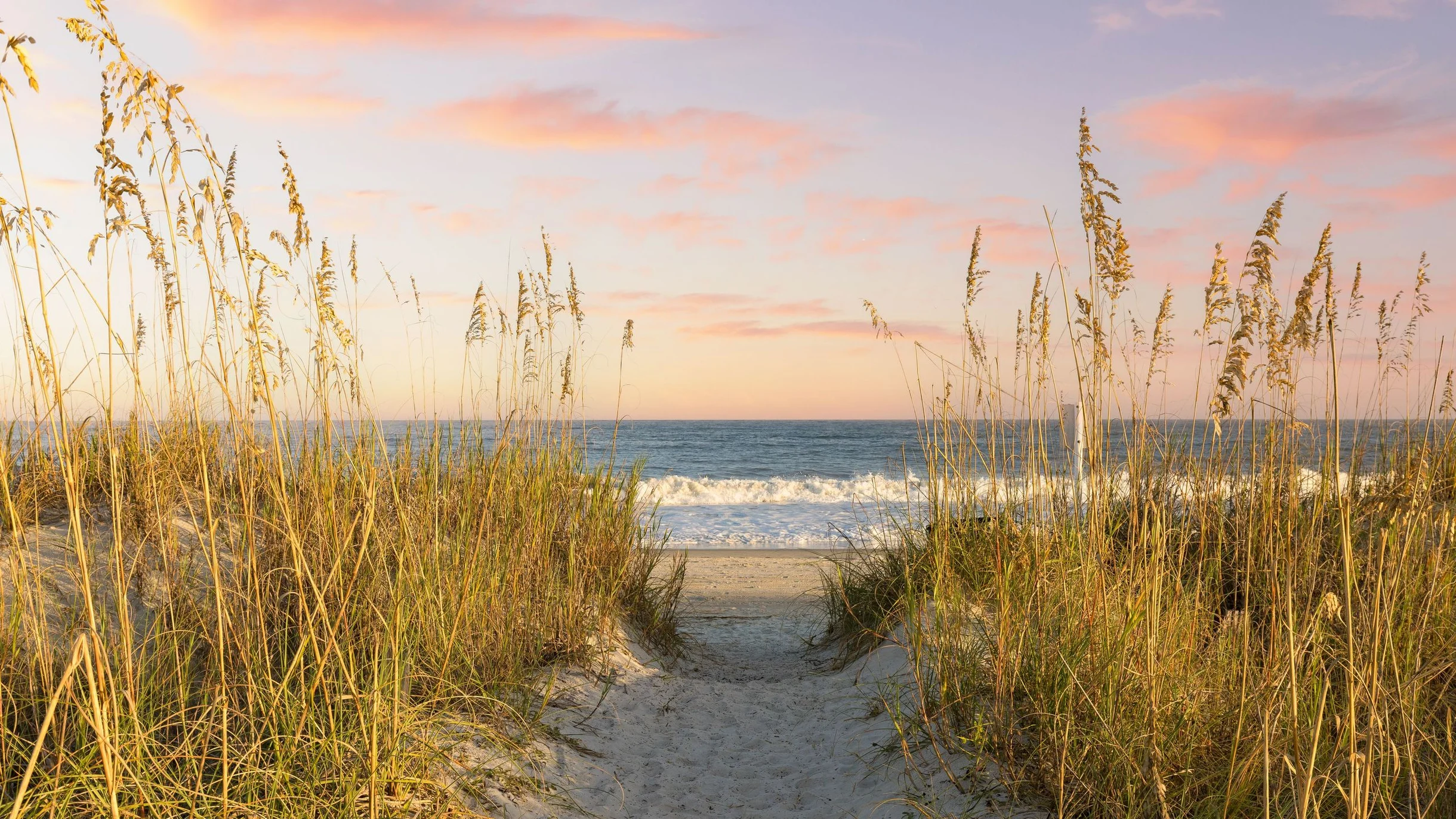 Wander Hilton Head Sandbar #85