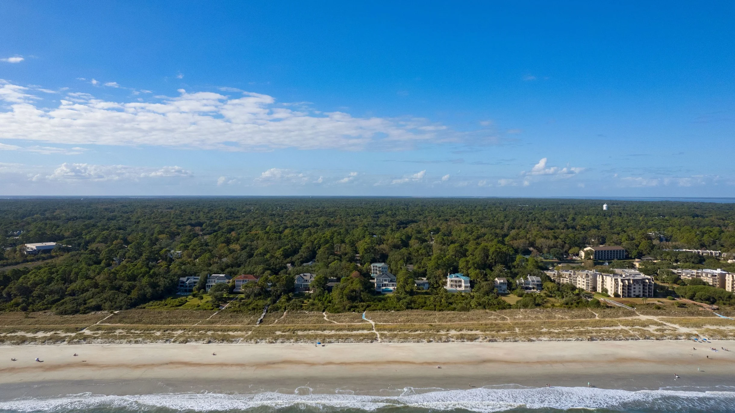 Wander Hilton Head Sandbar #65