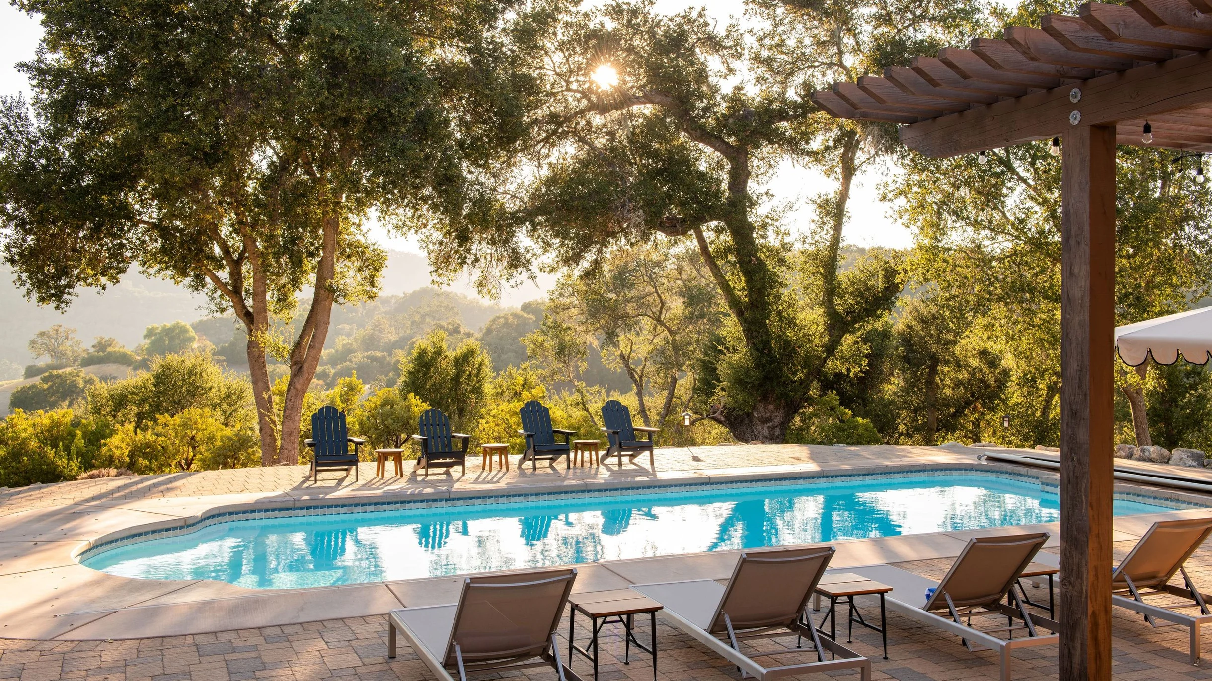 Wander Paso Robles Vineyards #74