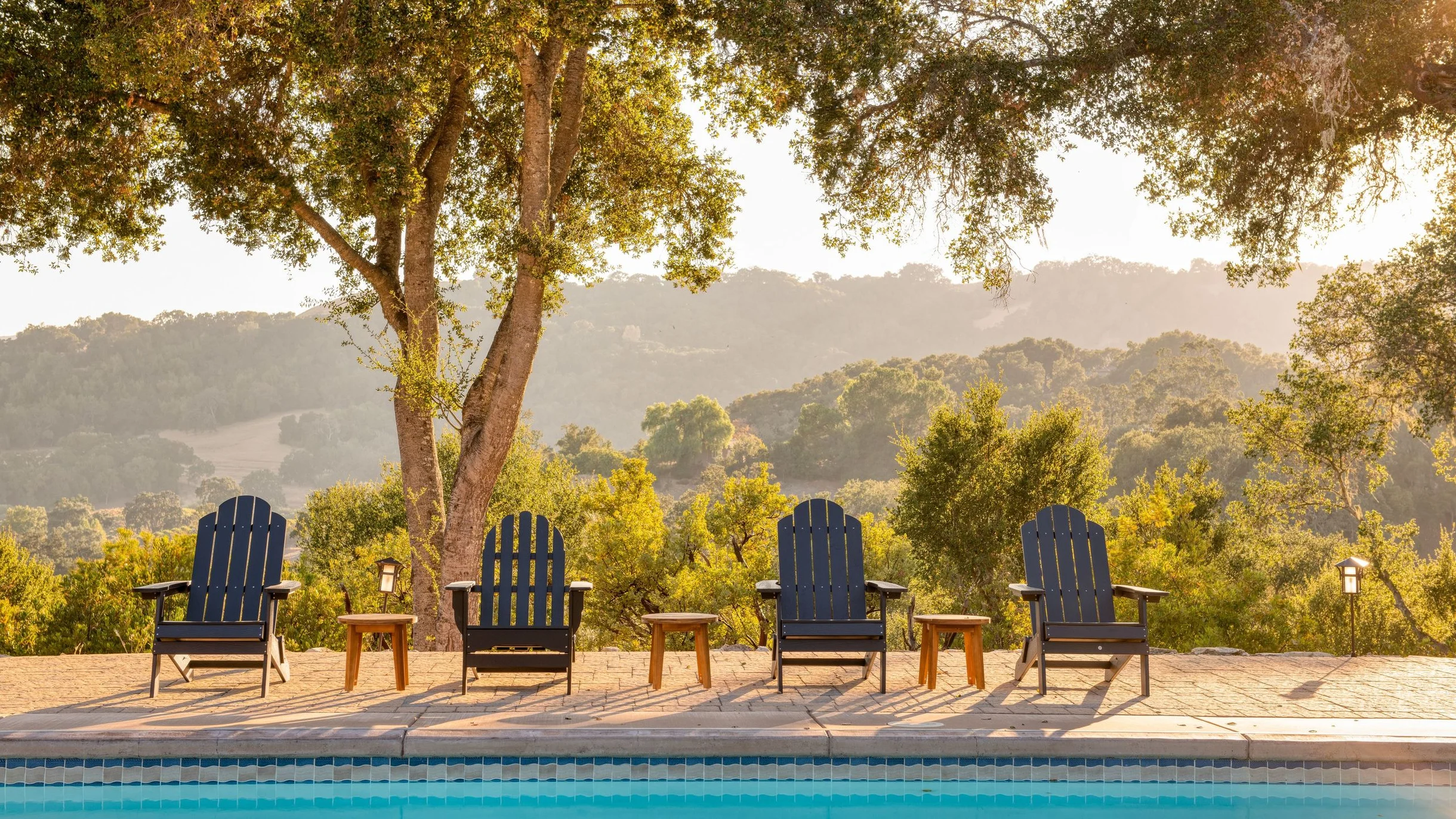 Wander Paso Robles Vineyards #79