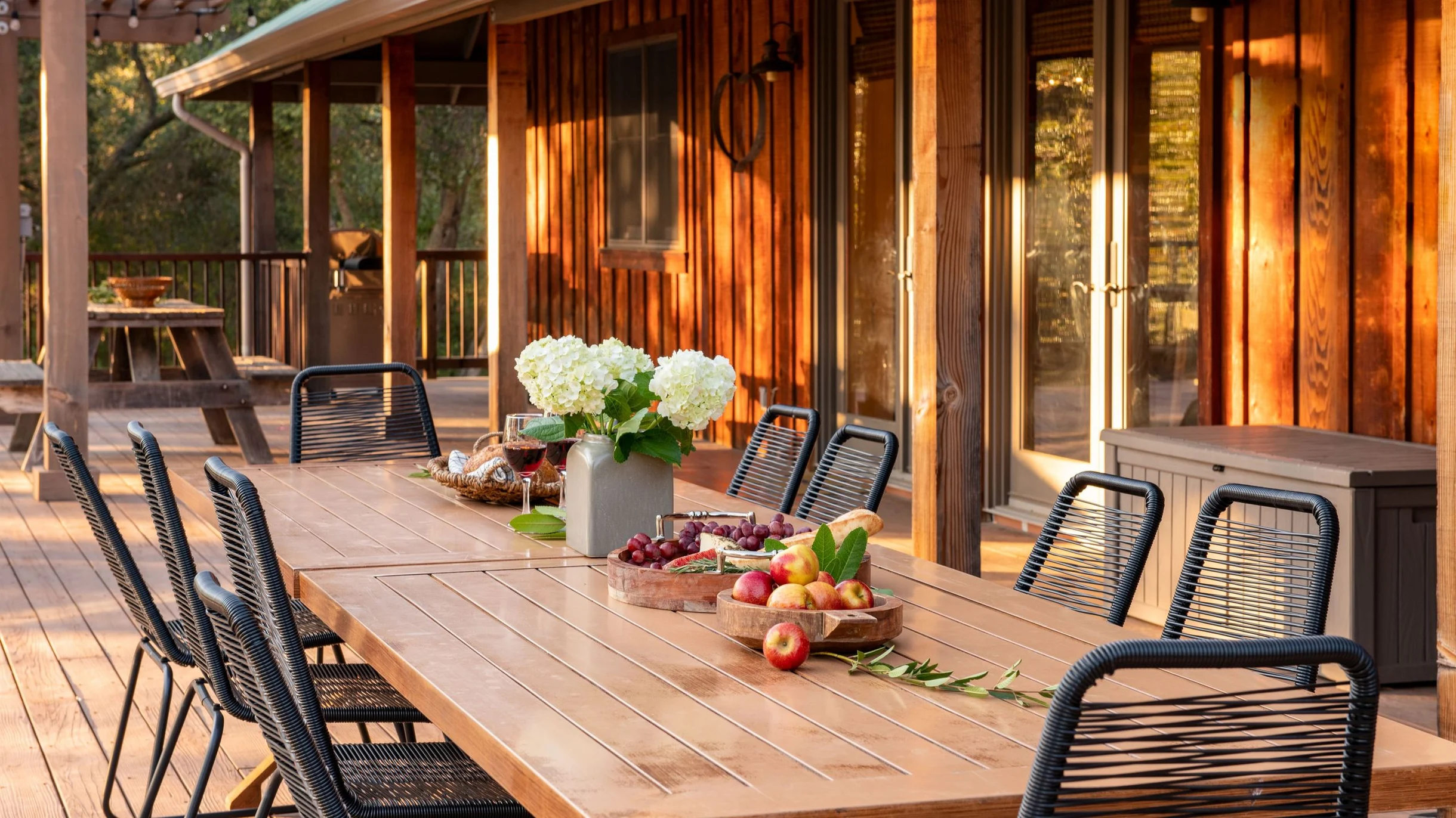 Wander Paso Robles Vineyards #72
