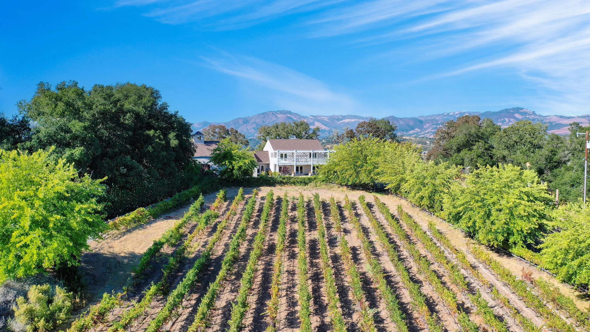 Wander Sonoma Mountain Retreat #63