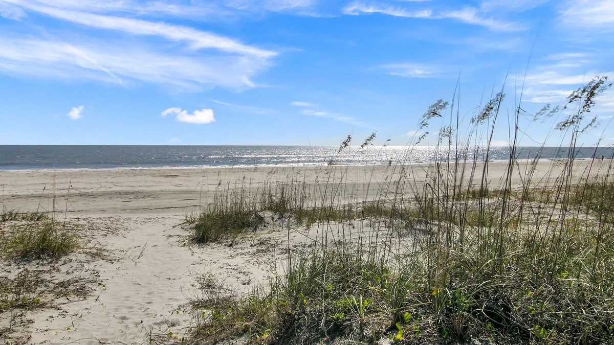 Wander Isle Palms Dune #121