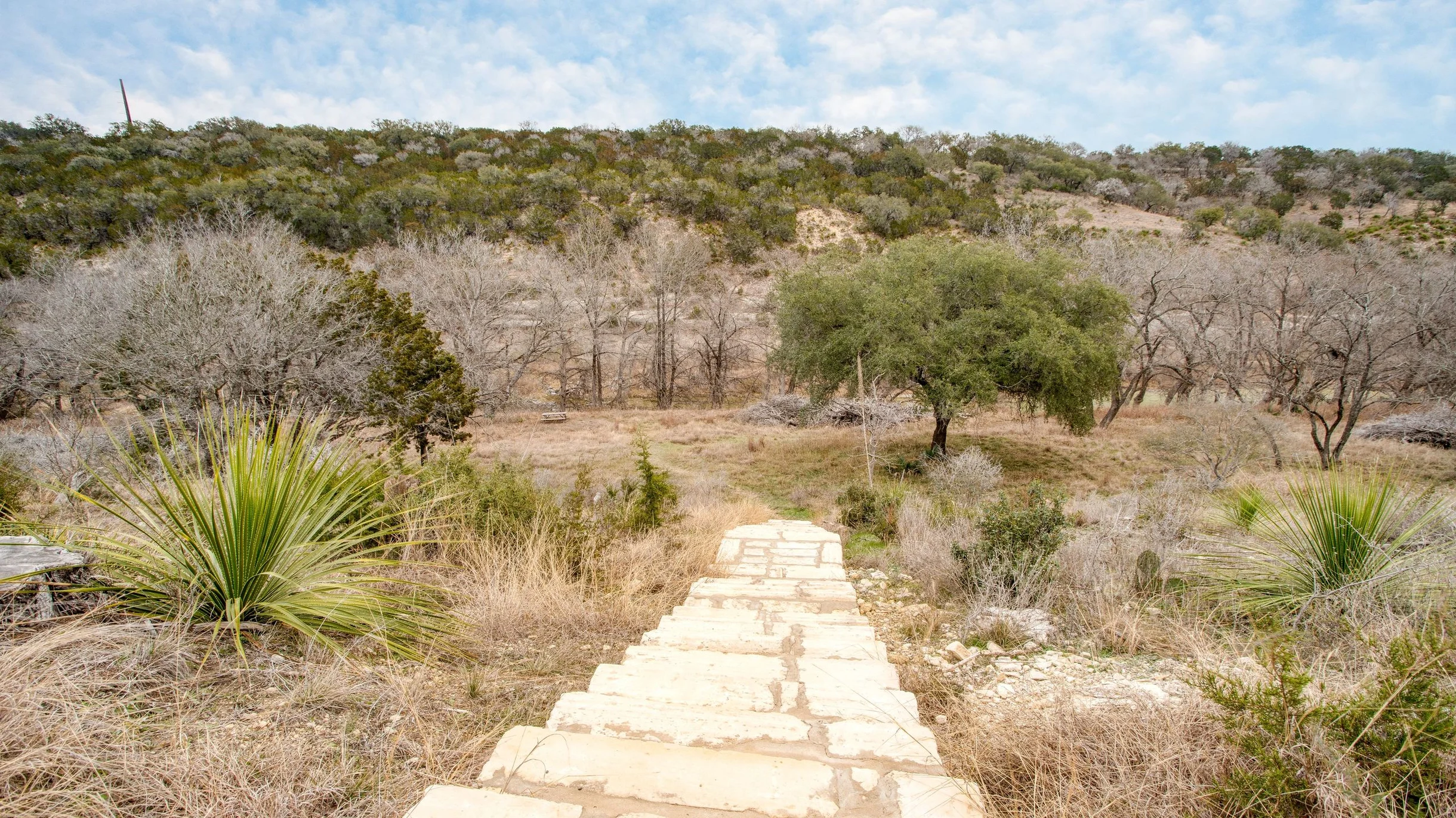 Wander Dripping Springs Canyon #50