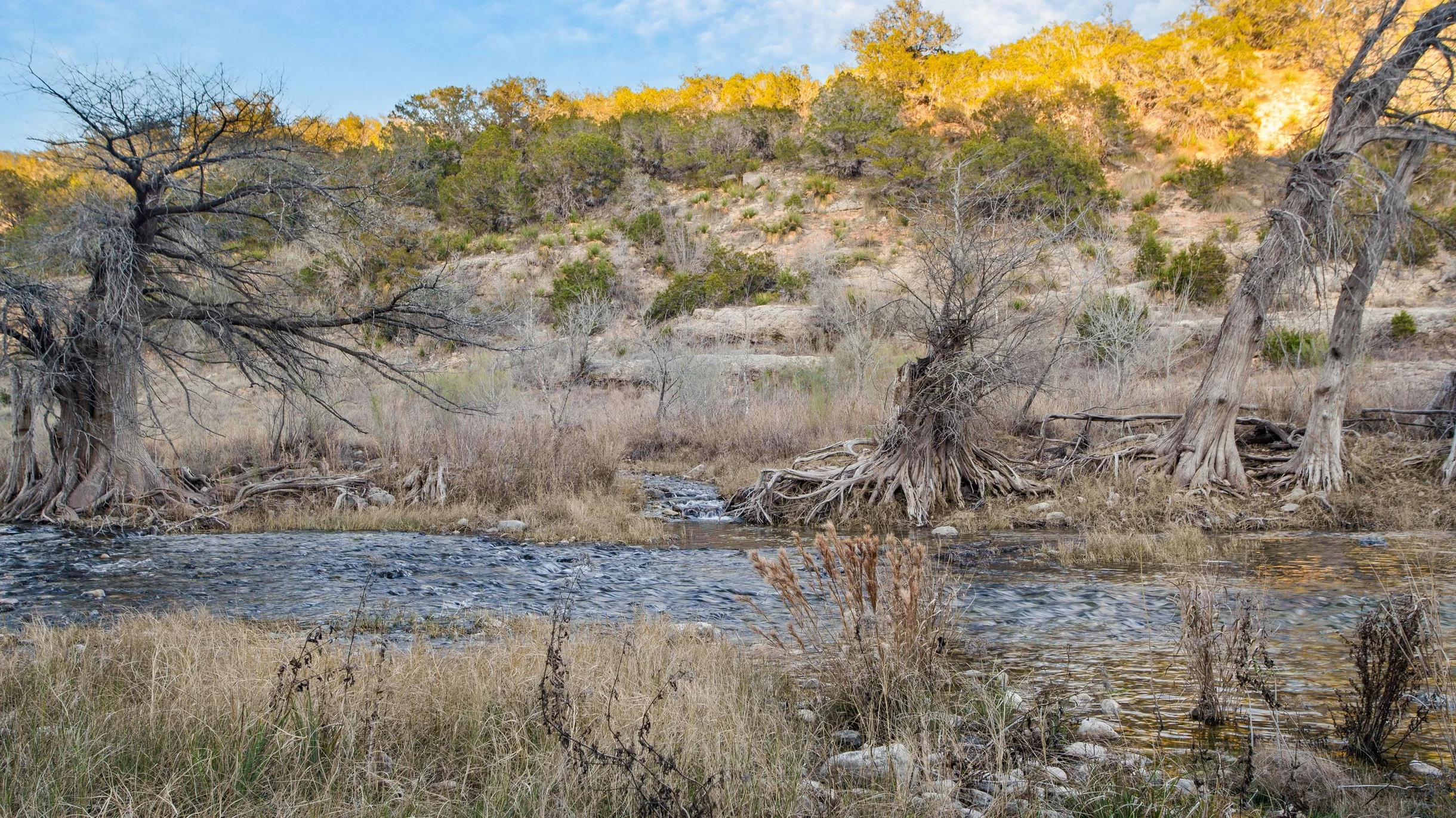 Wander Dripping Springs Canyon #84