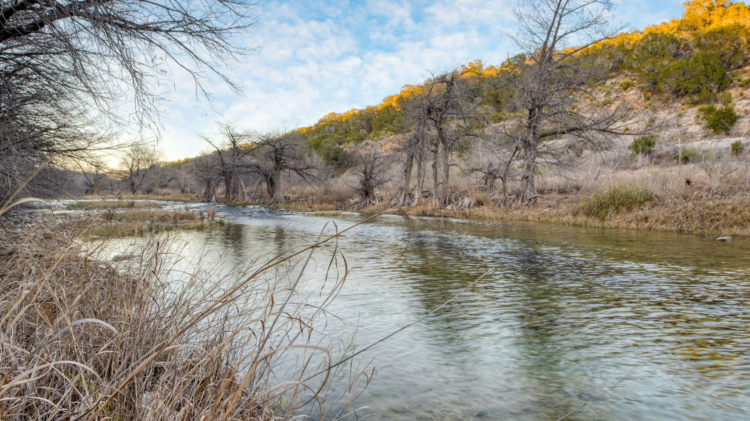 Wander Dripping Springs Canyon #66