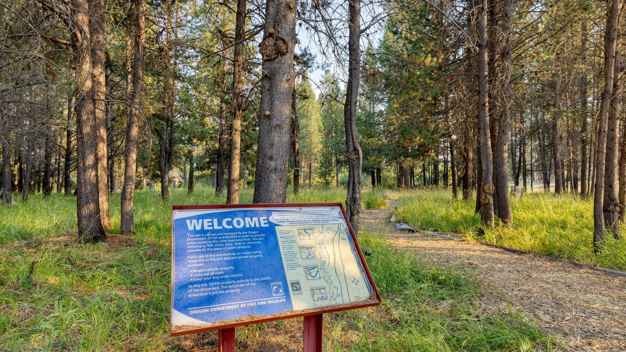 Wander La Pine Ponderosa #101