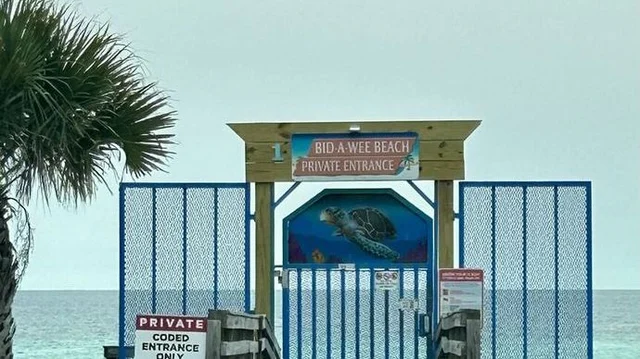 Wander Panama City Beach Tides #49