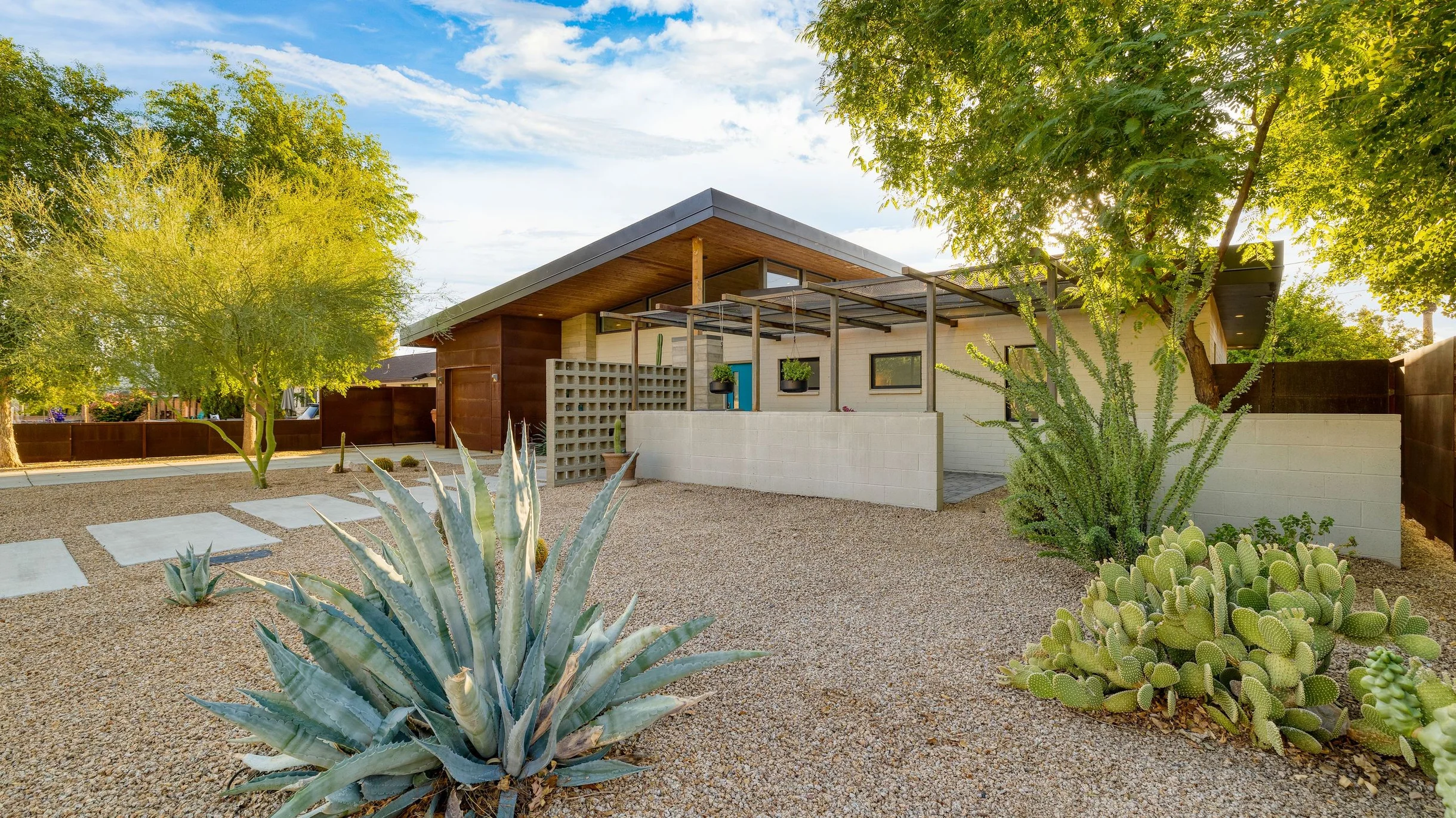 Wander Scottsdale Vanguard #68