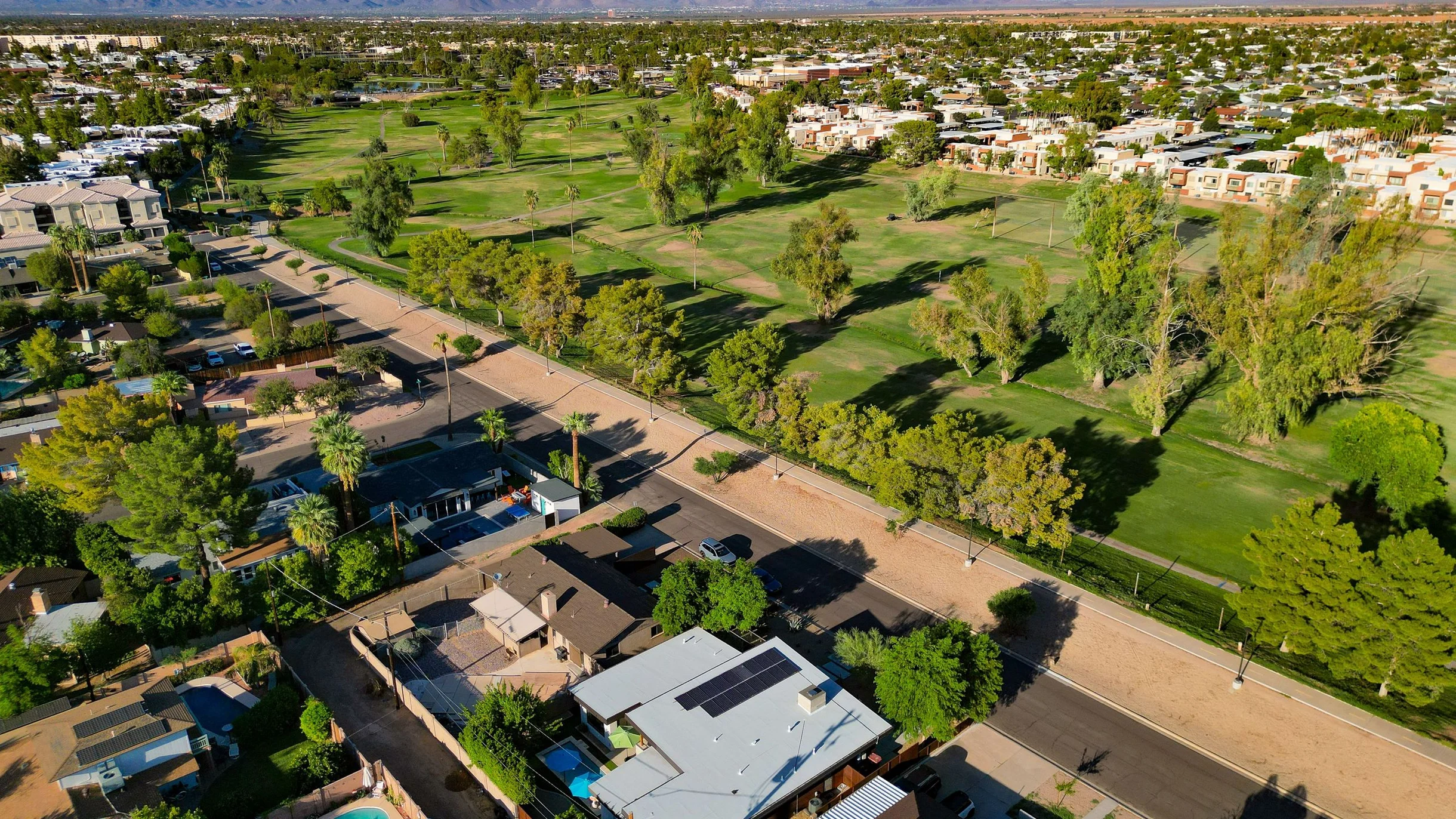 Wander Scottsdale Vanguard #88