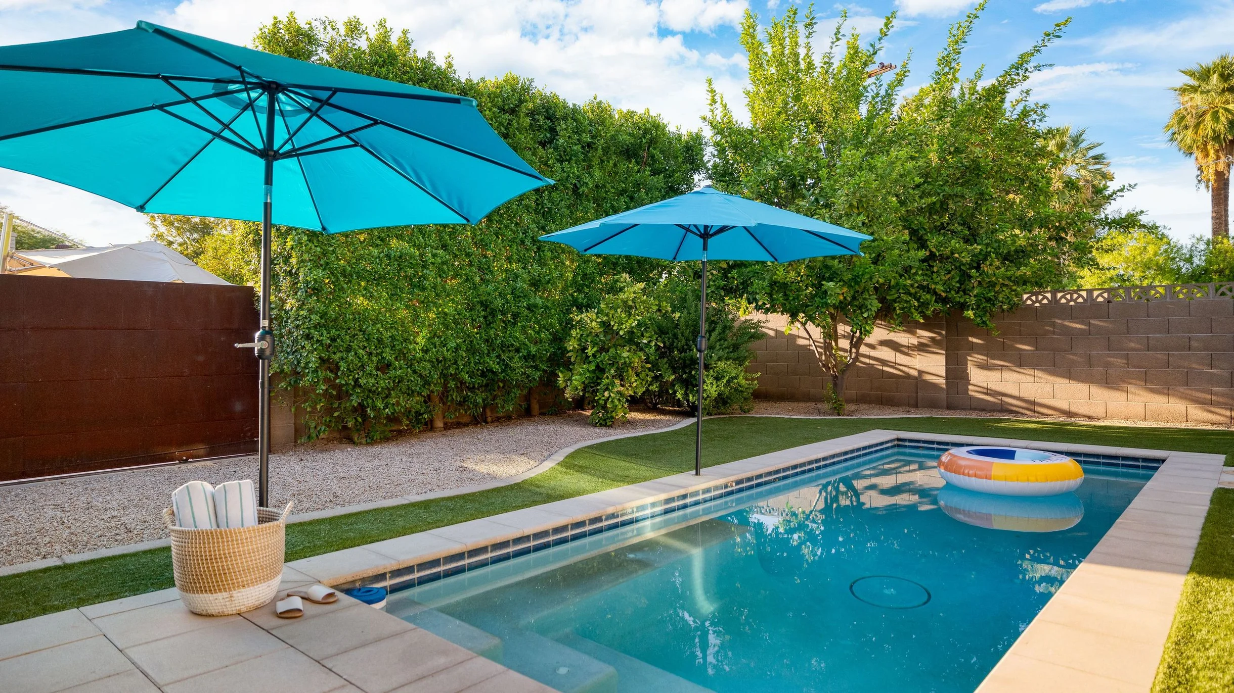 Wander Scottsdale Vanguard #54