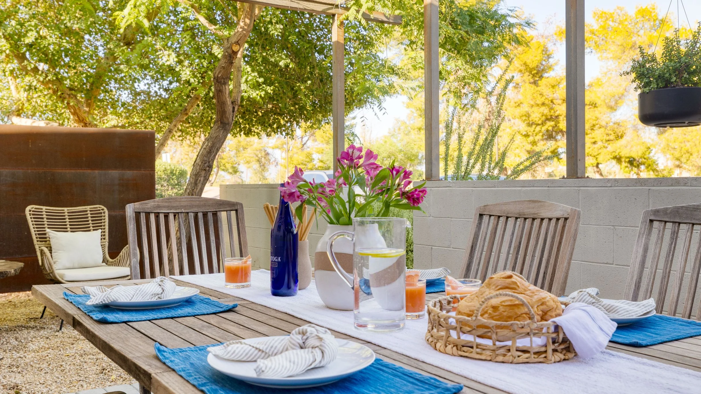 Wander Scottsdale Vanguard #63