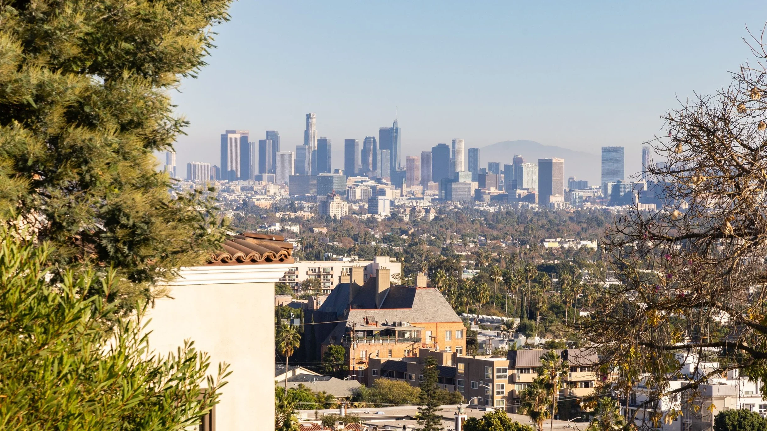 Wander Sunset Strip Allure #72