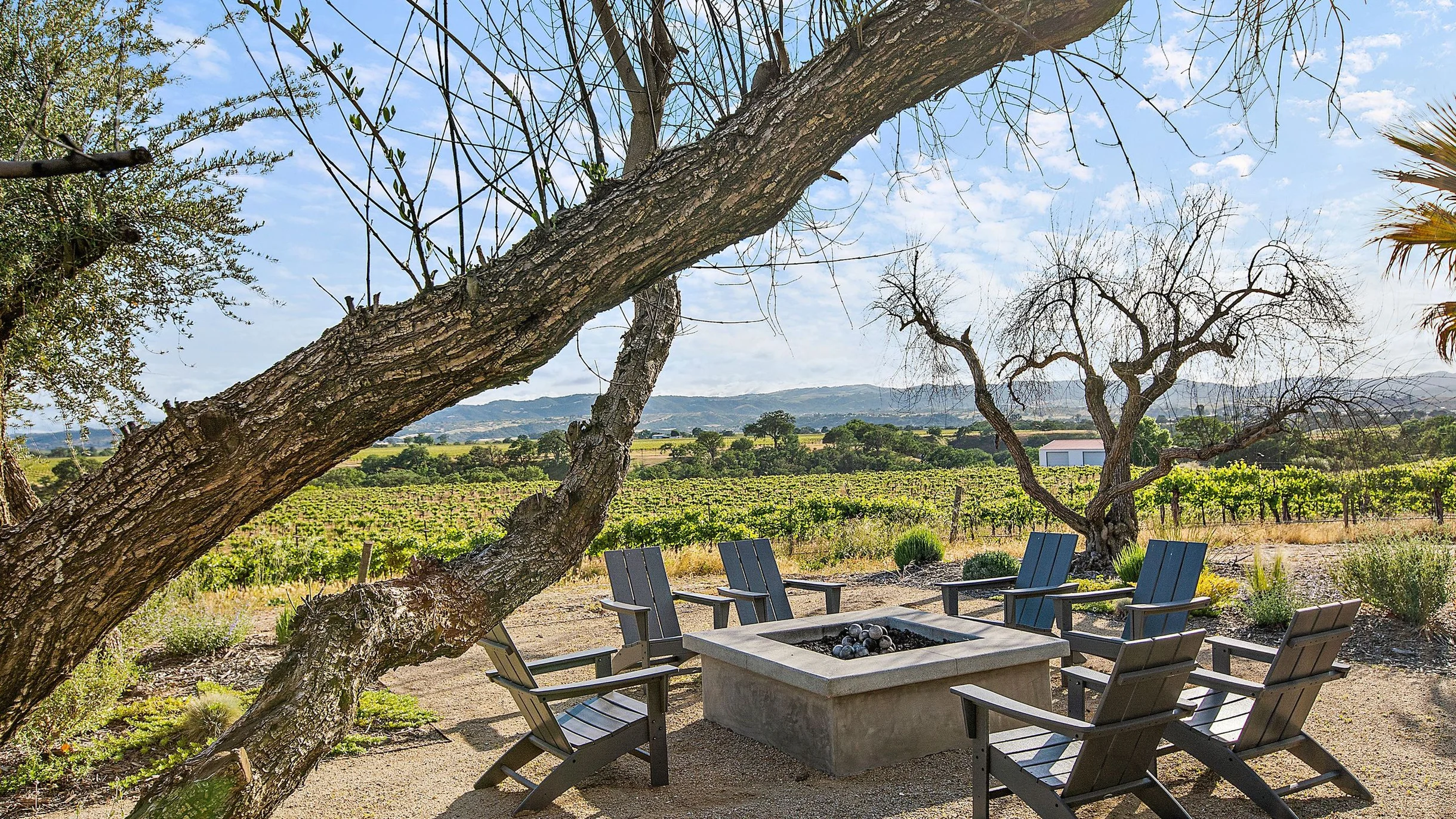Wander Paso Robles Retreat #68