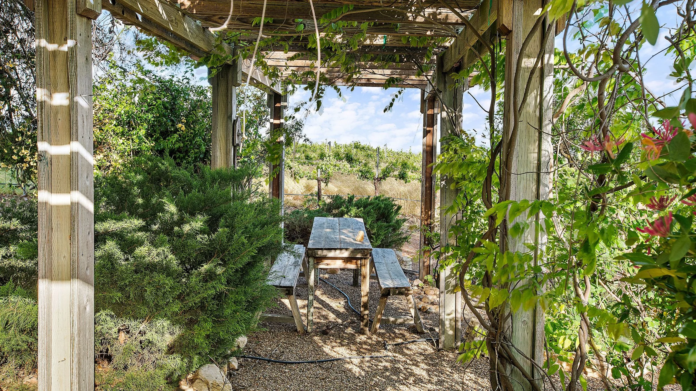 Wander Paso Robles Retreat #93