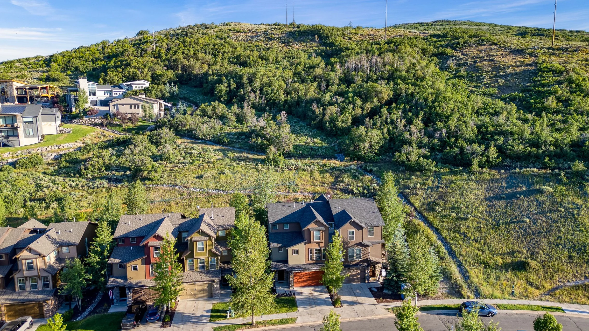 Wander Heber Pines #71