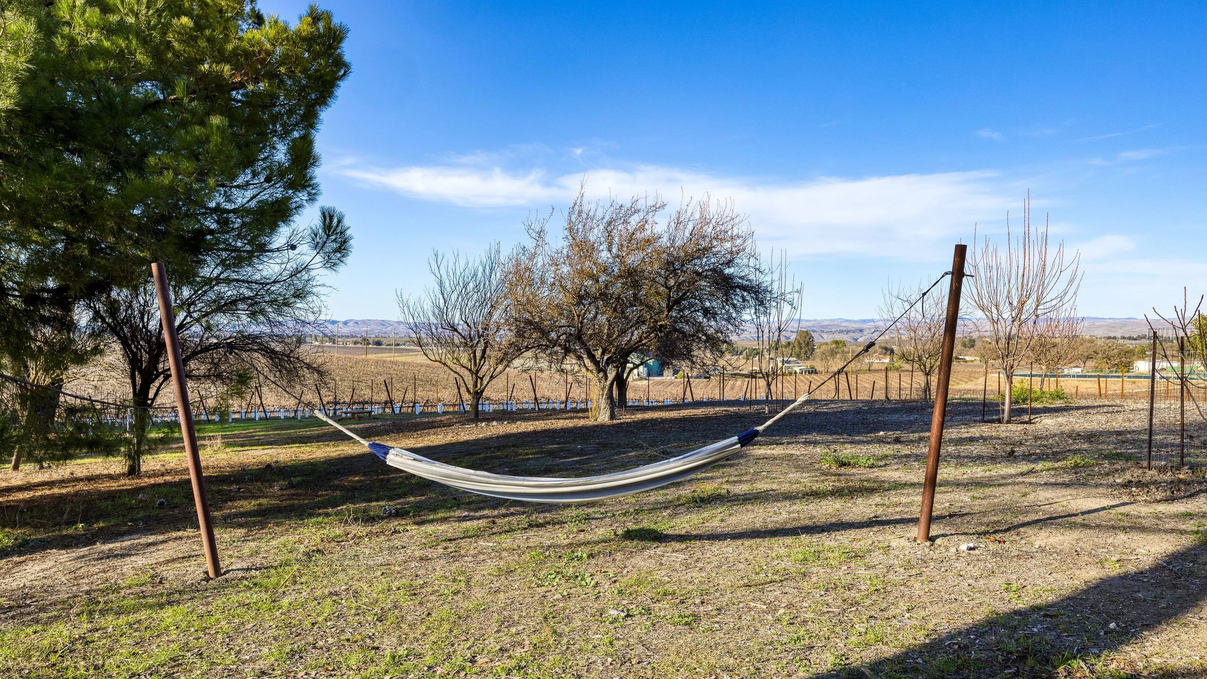 Wander Paso Robles Oaks #46