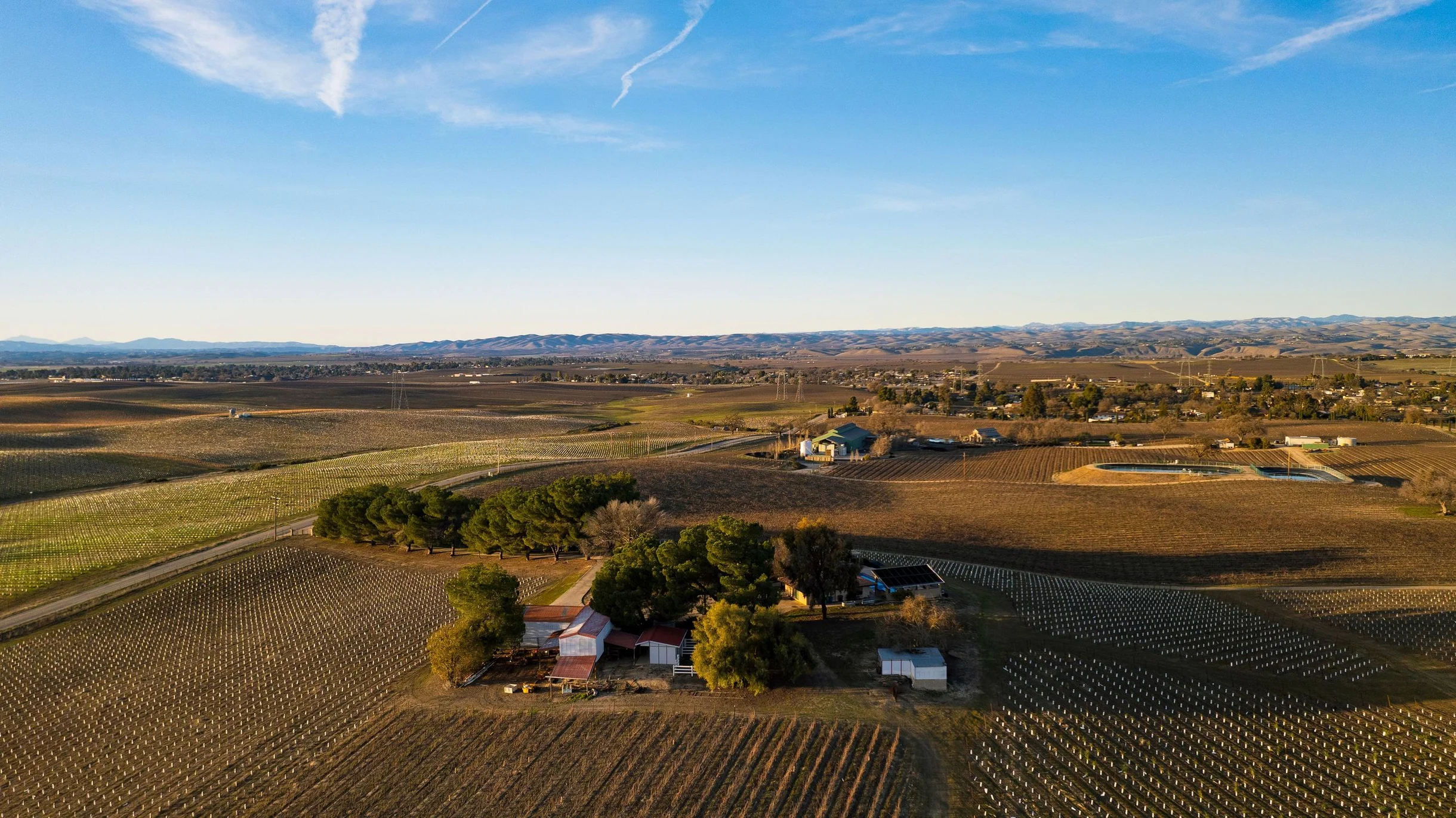 Wander Paso Robles Oaks #81