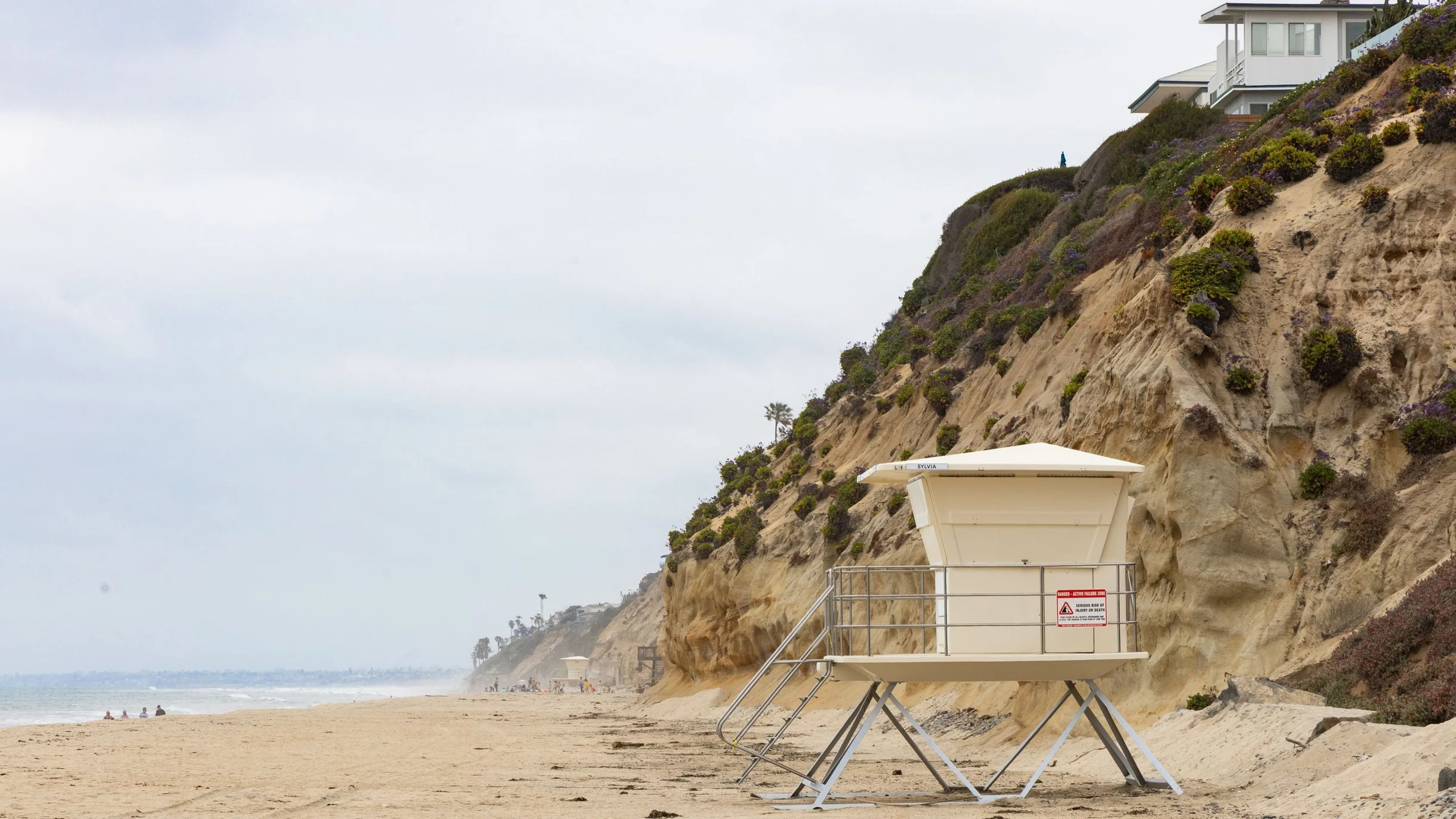 Wander Encinitas Beach #77
