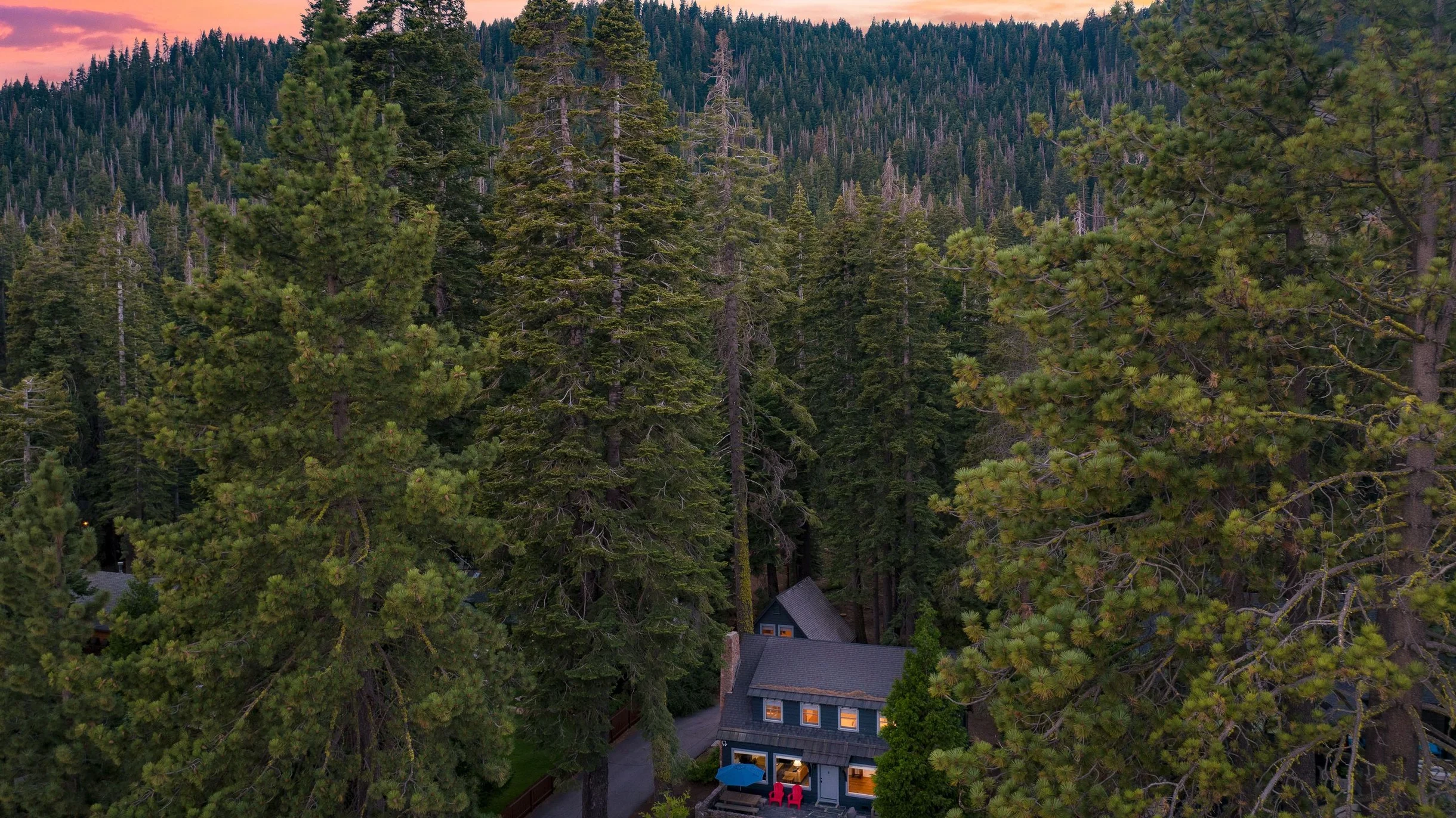 Wander Homewood Pines #94