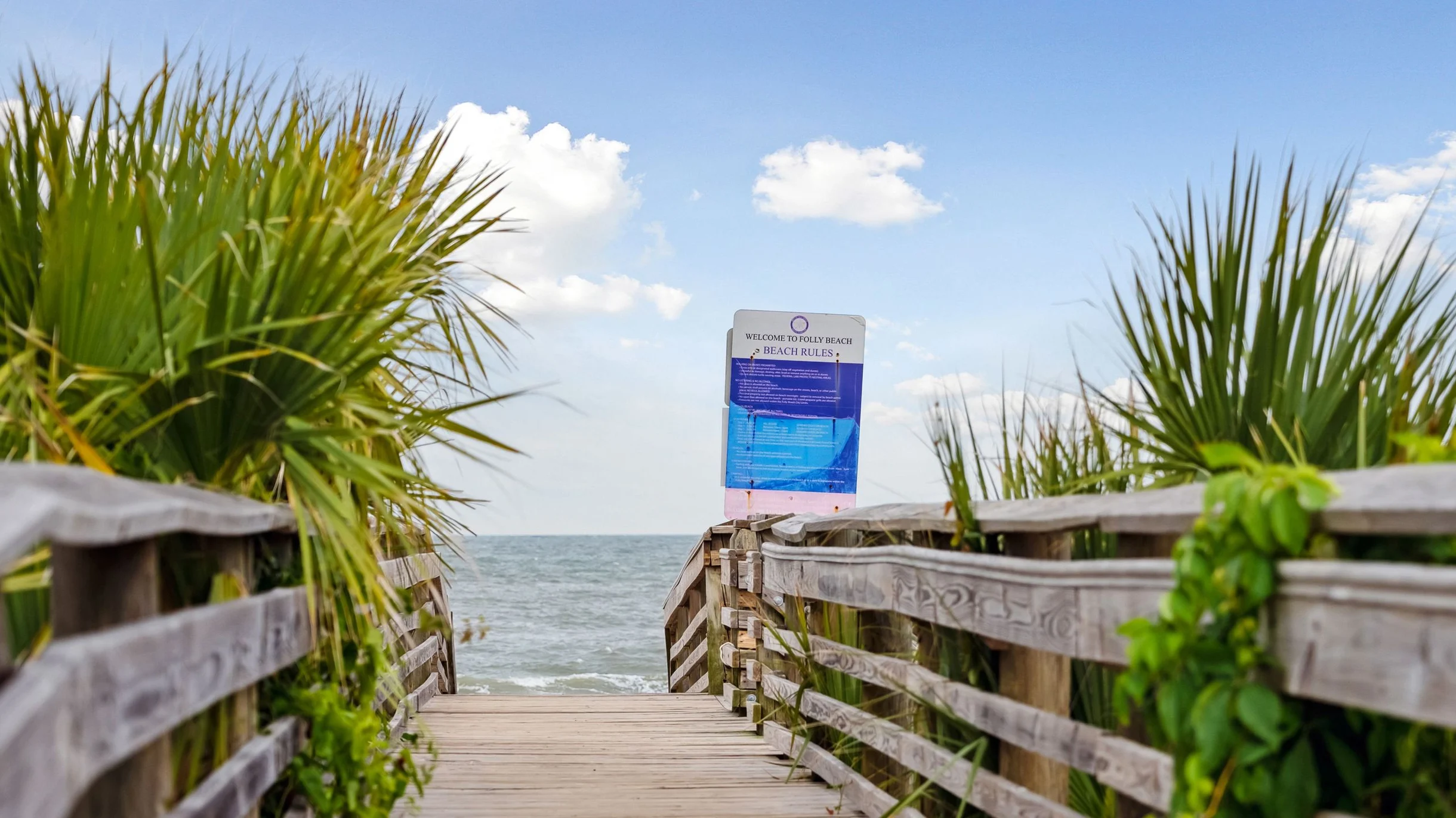 Wander Folly Tides #80