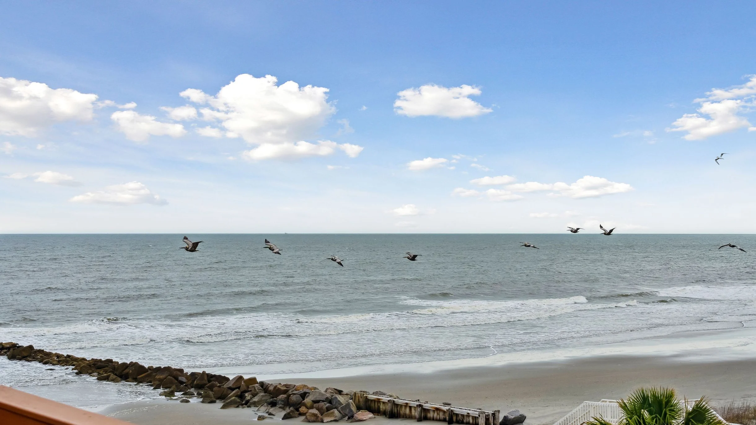 Wander Folly Tides #133