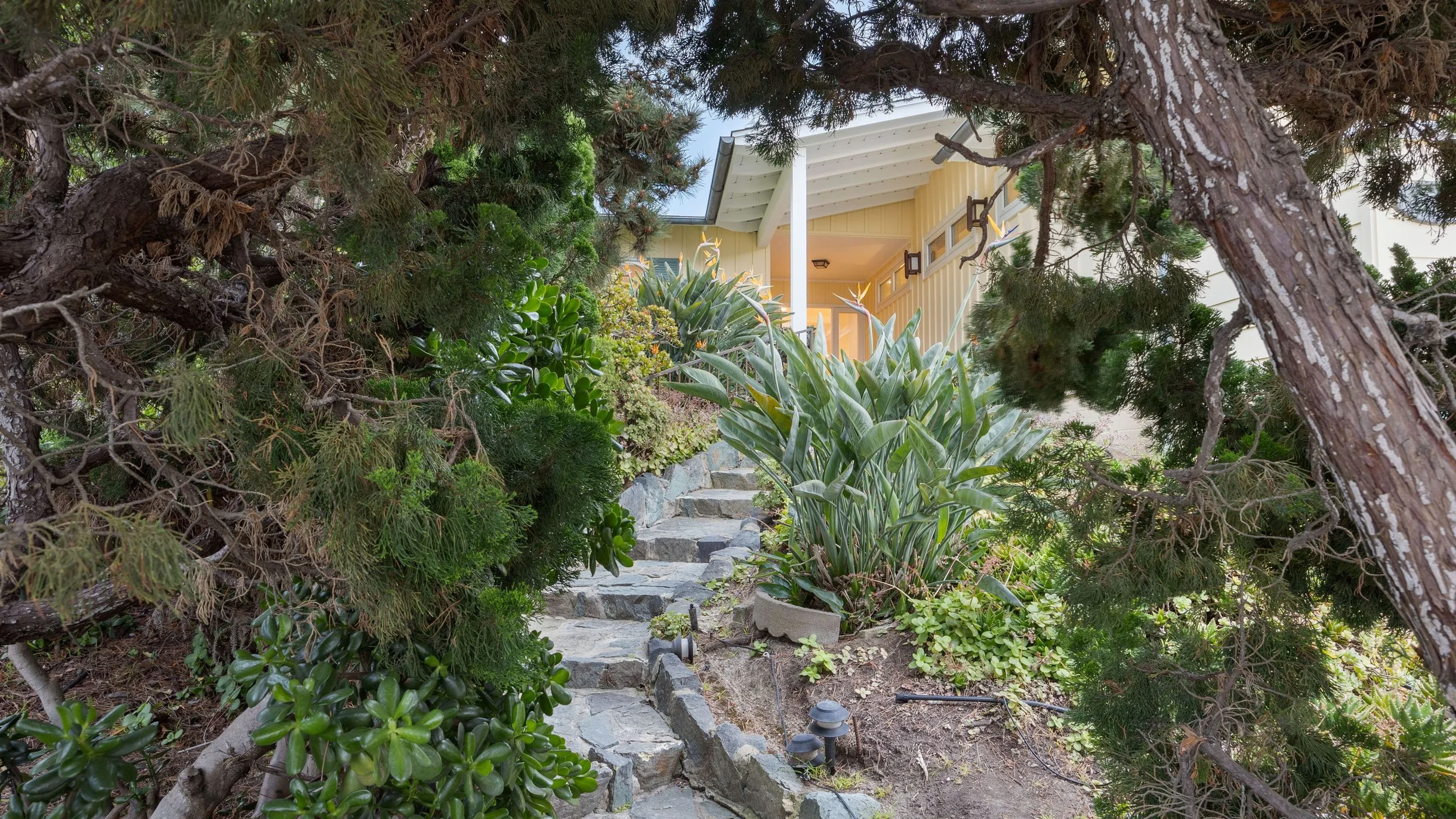 Wander La Jolla Panorama #70