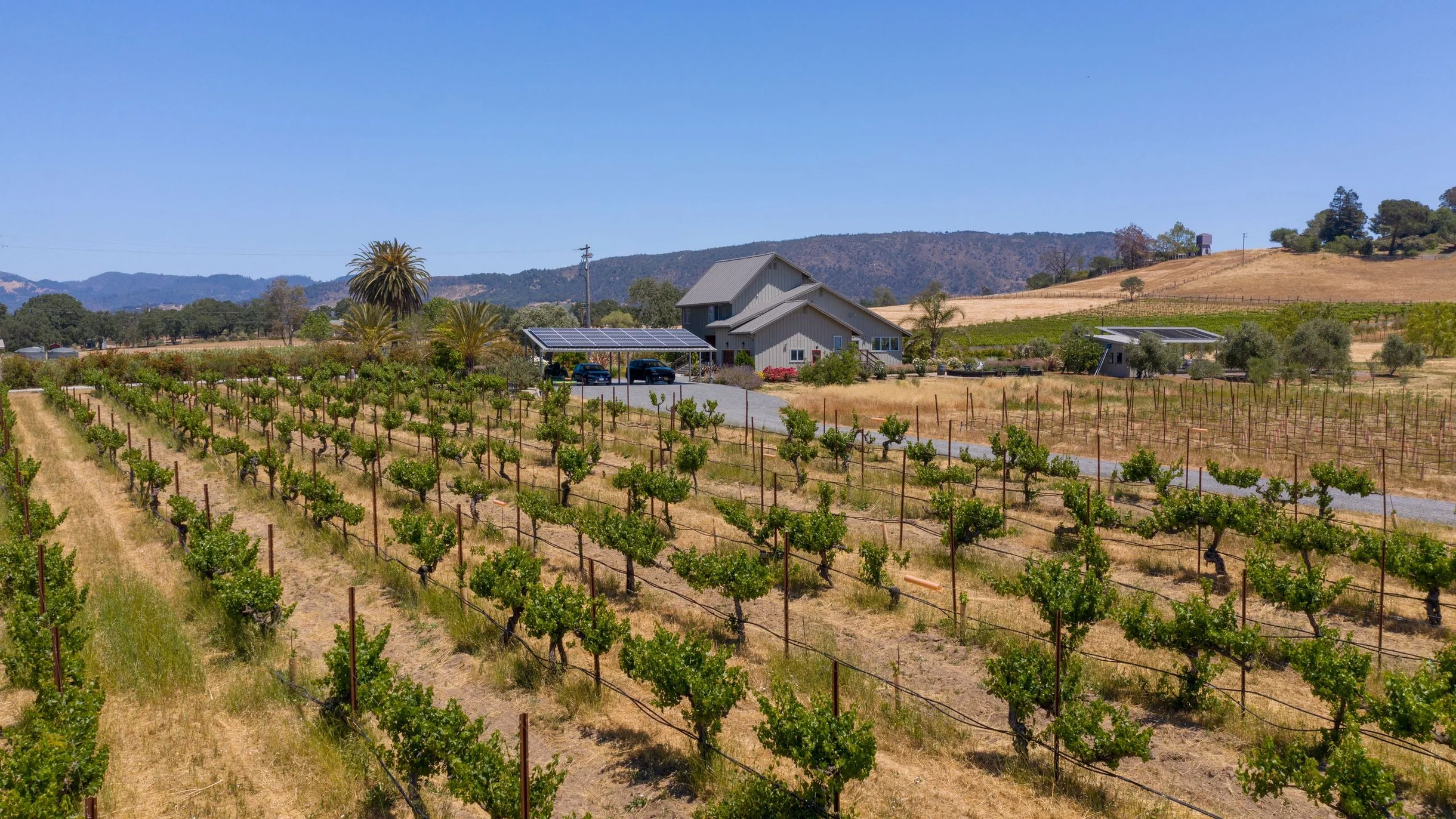 Wander Sonoma Mountain Estate #97