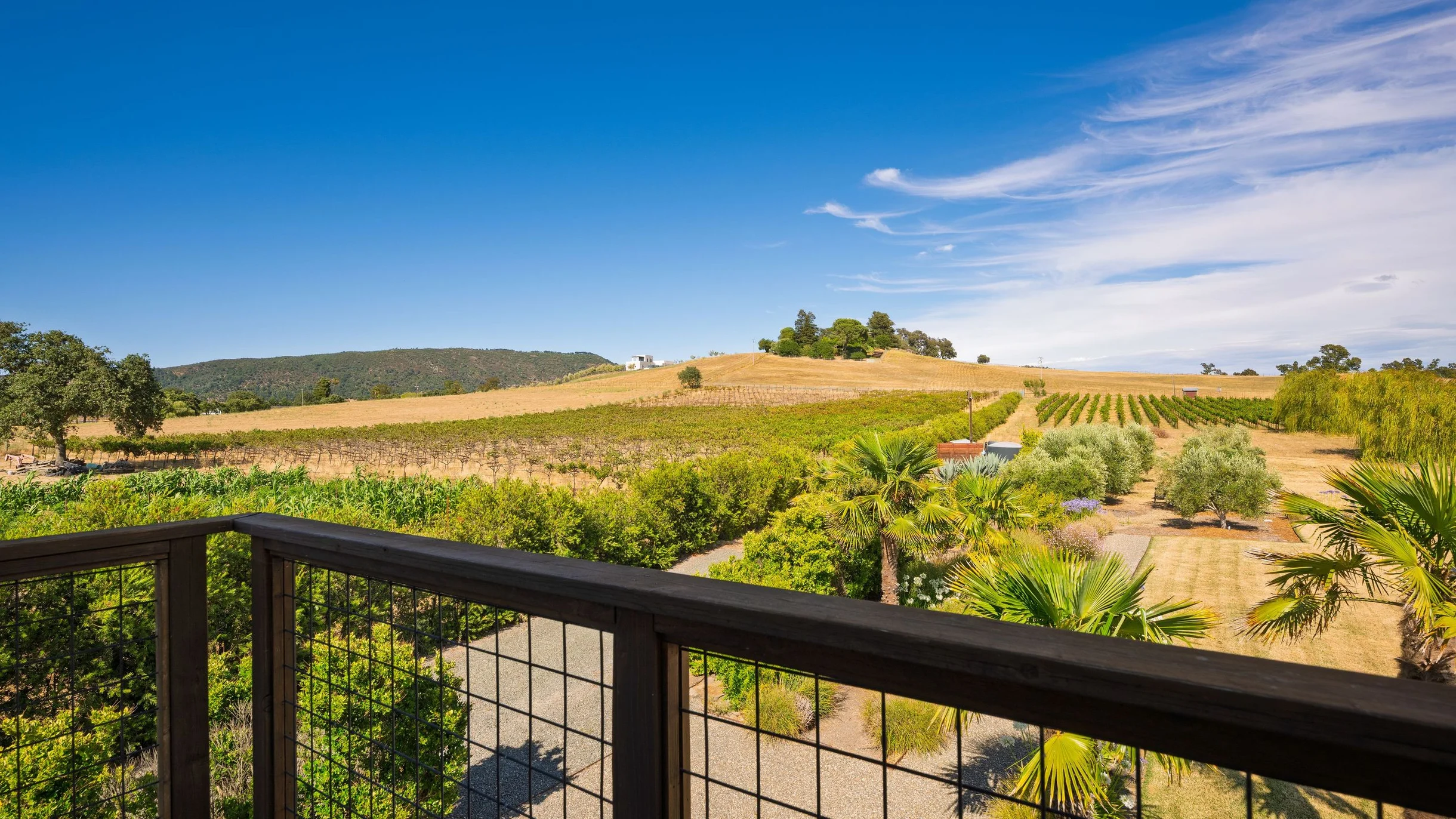 Wander Sonoma Mountain Estate #71