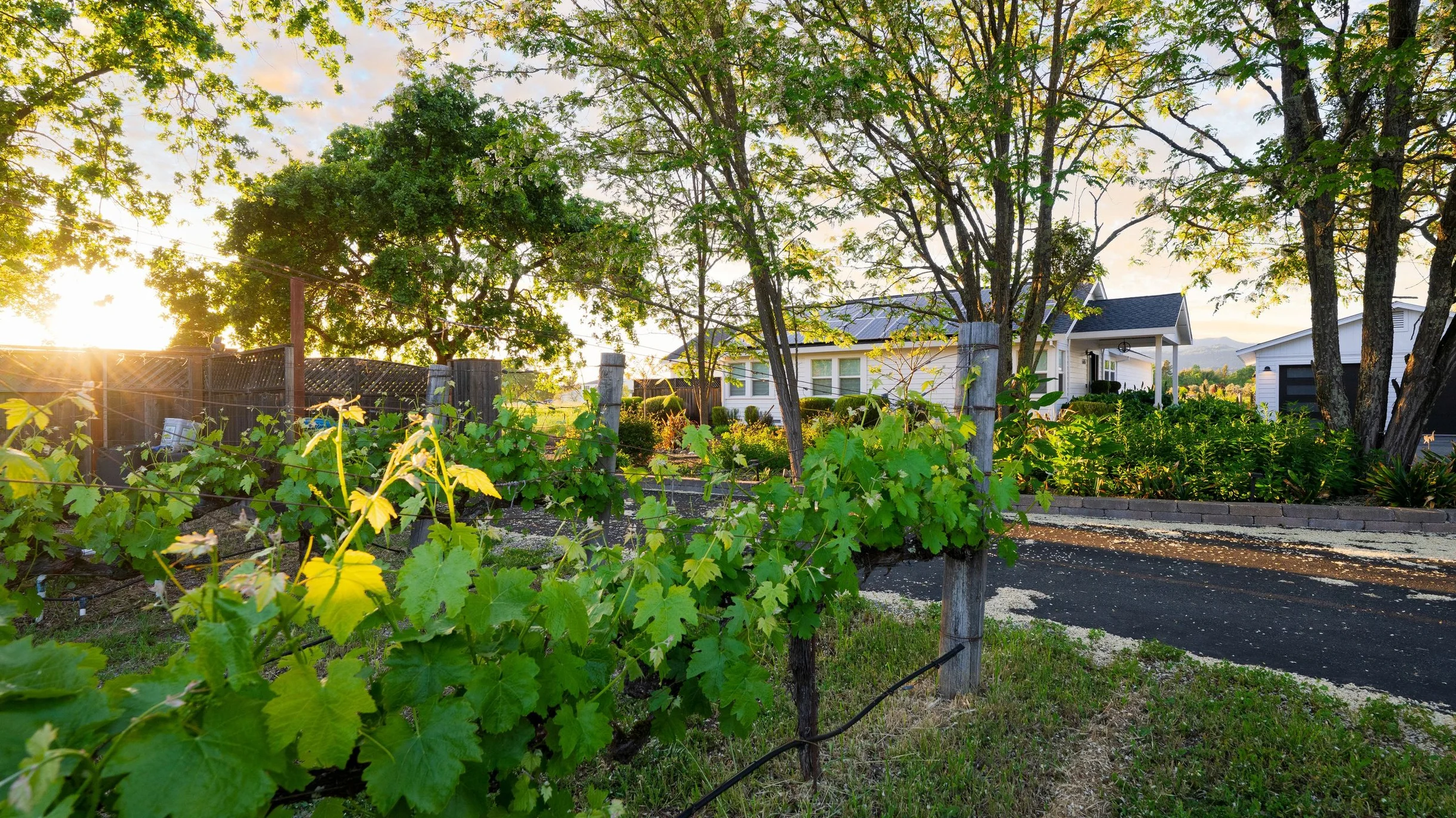 Wander Sonoma Valley Retreat #72