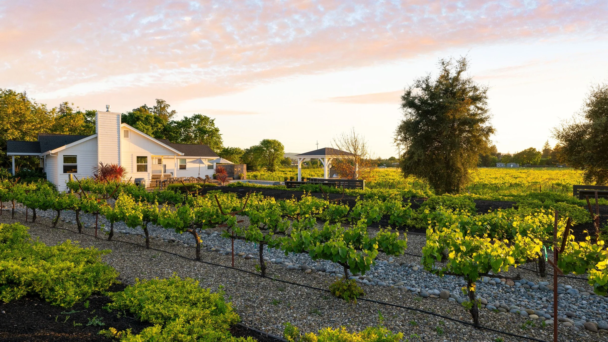 Wander Sonoma Valley Retreat #91