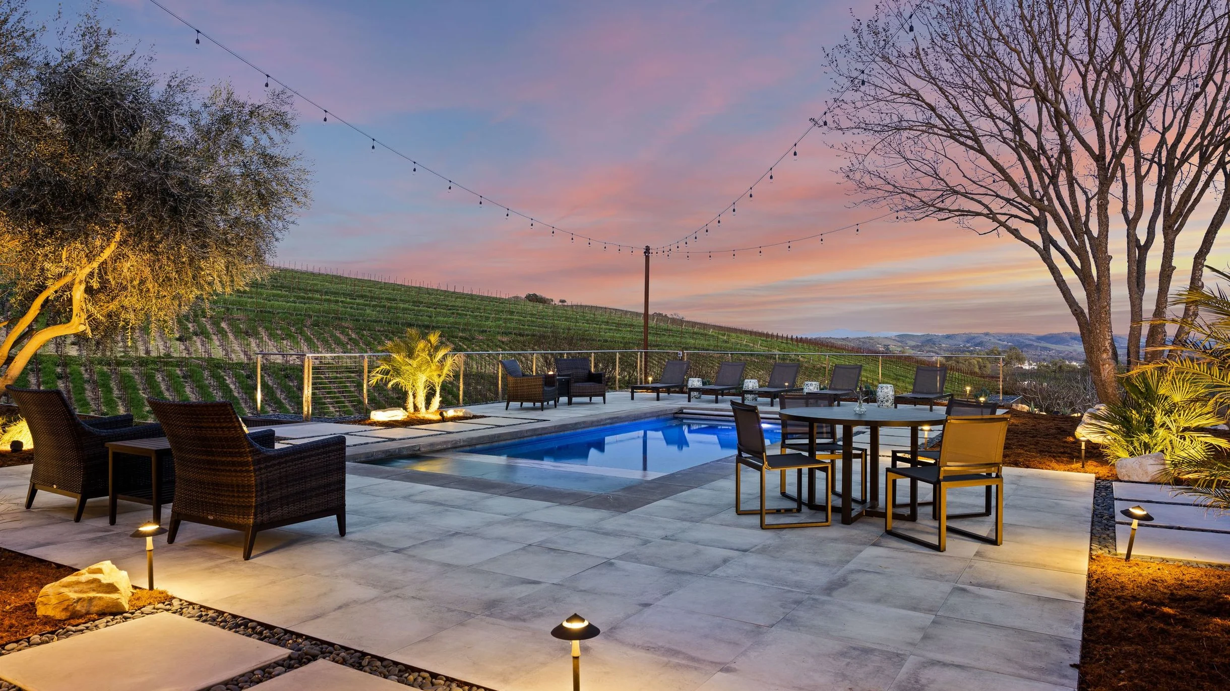 Wander Paso Robles Vines #45