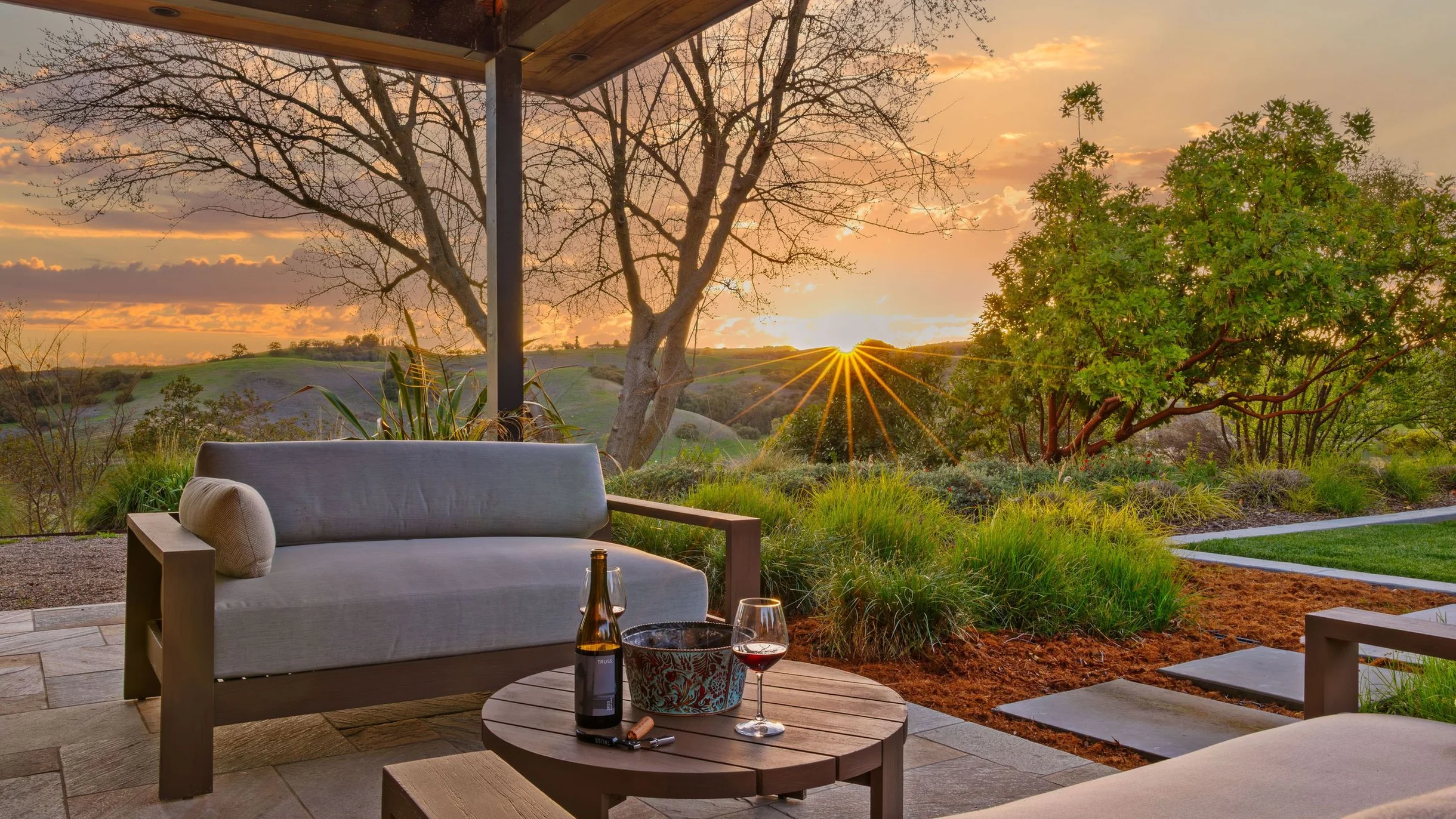 Wander Paso Robles Vines #71