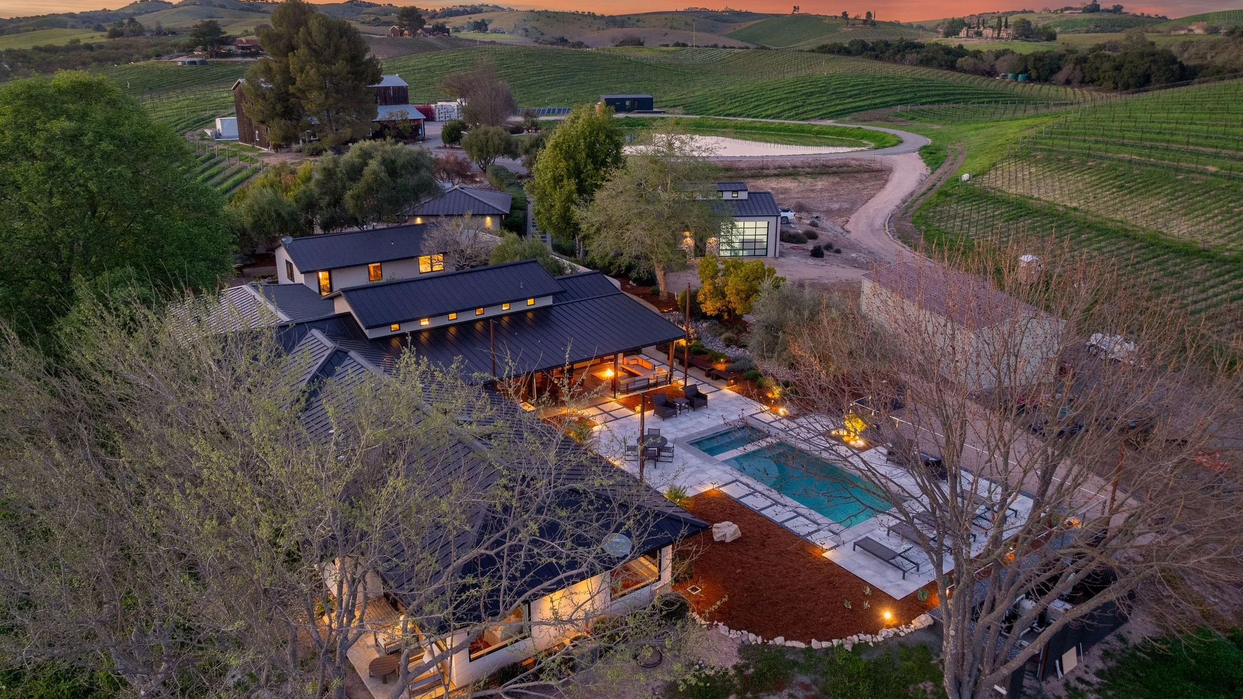 Wander Paso Robles Vines #85