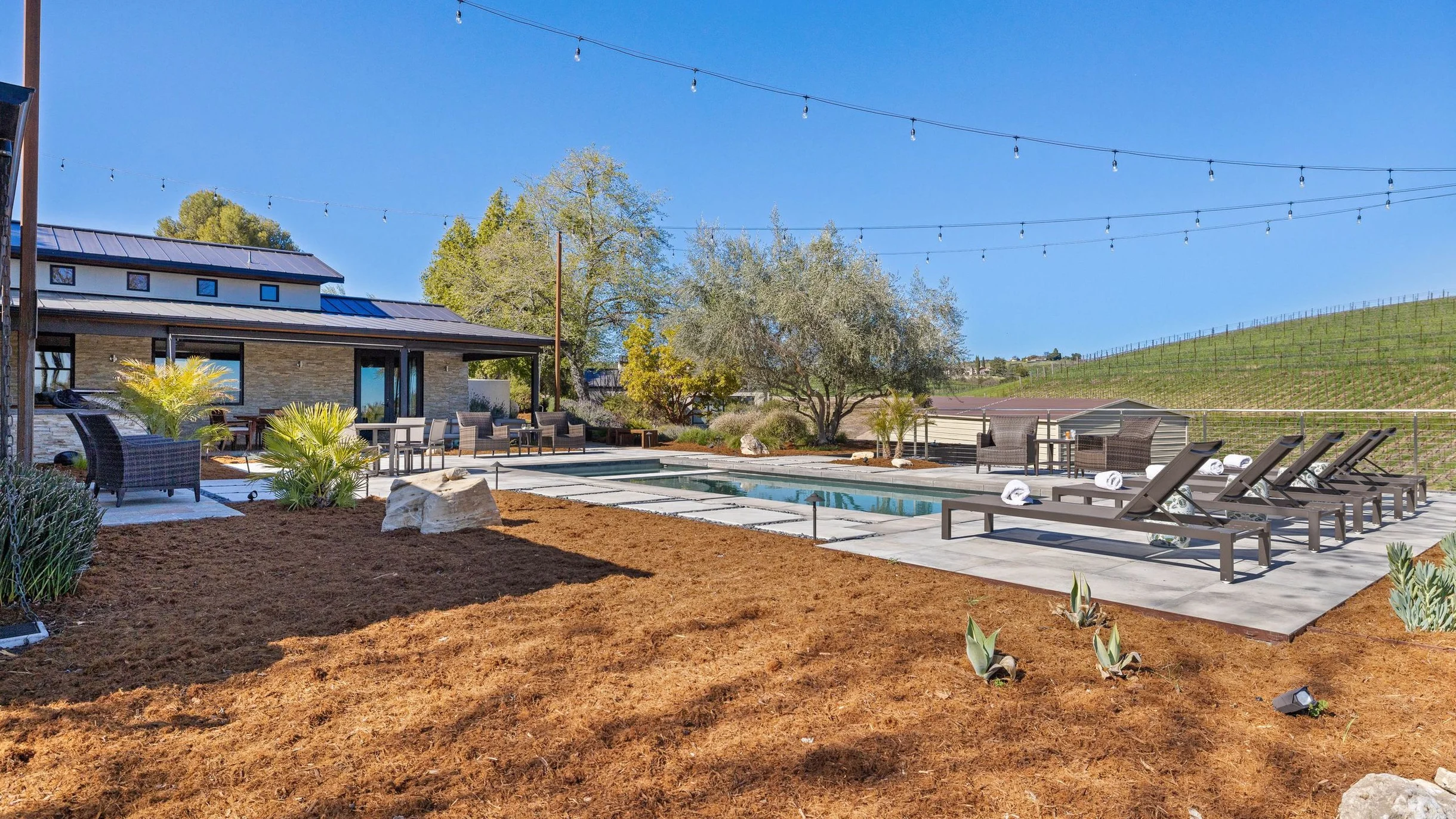 Wander Paso Robles Vines #61