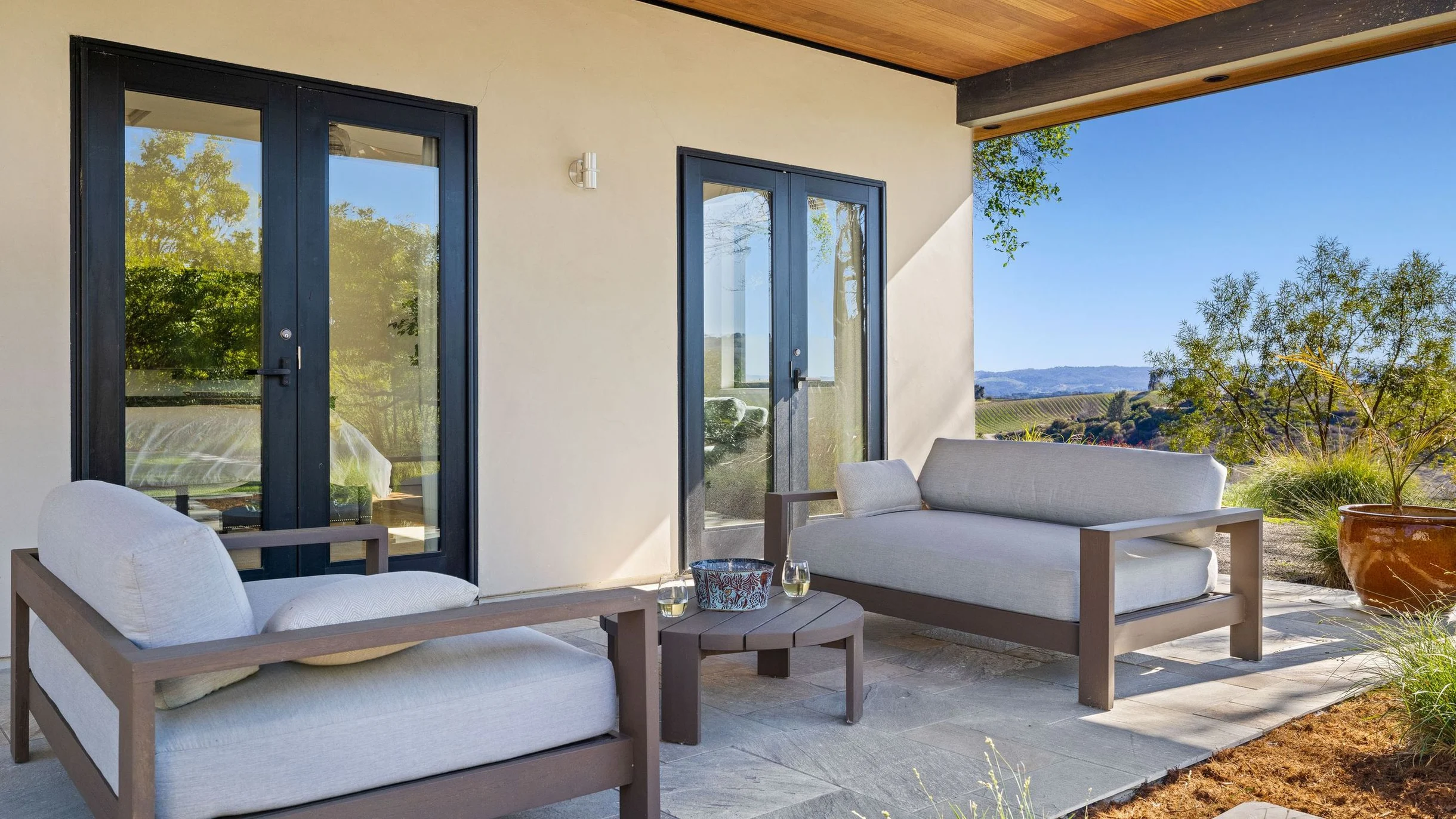 Wander Paso Robles Vines #84