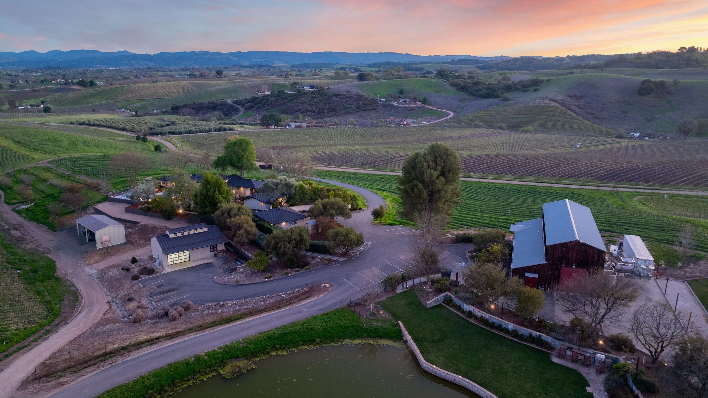 Wander Paso Robles Vines #92