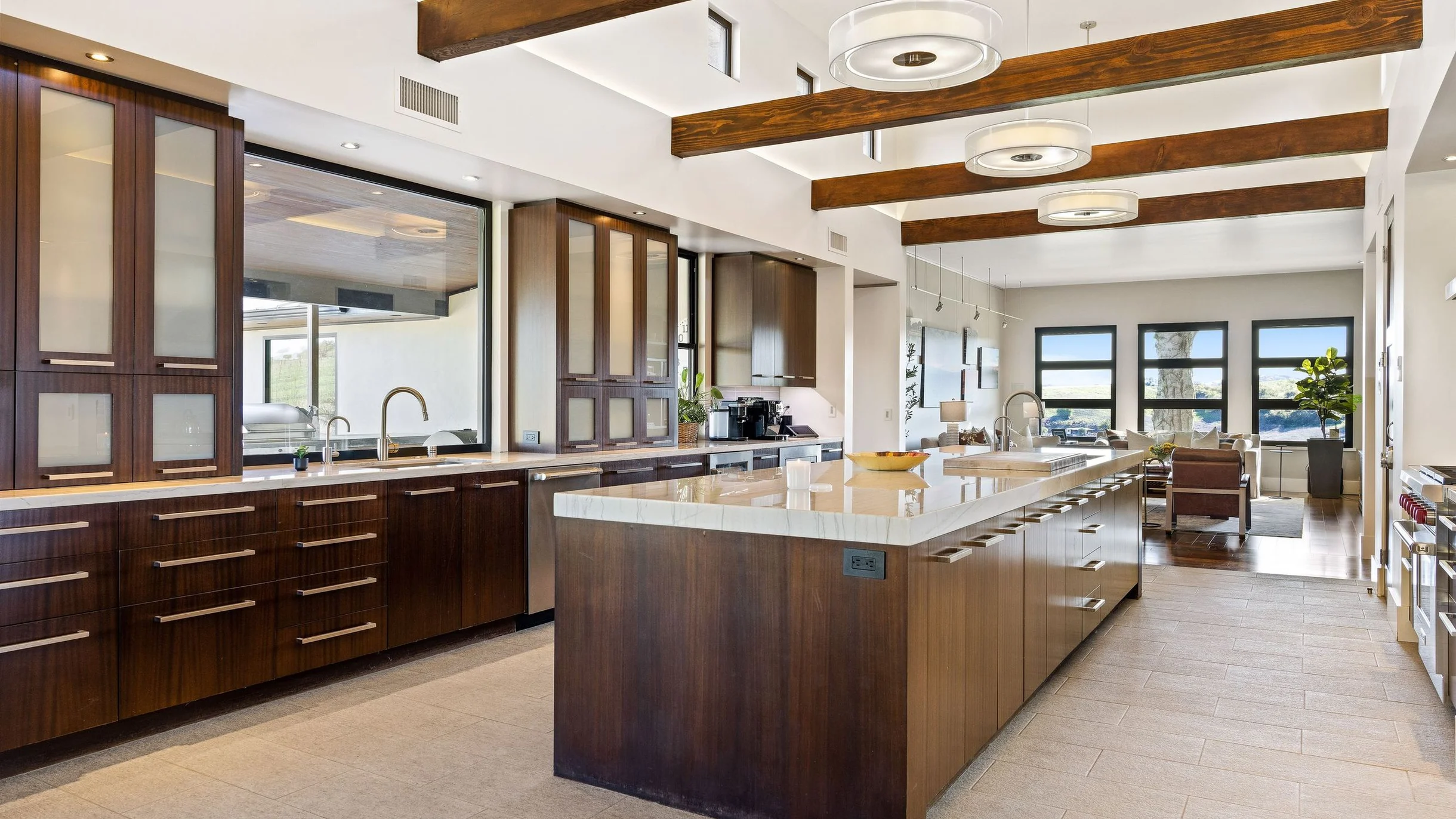 Wander Paso Robles Vines #64