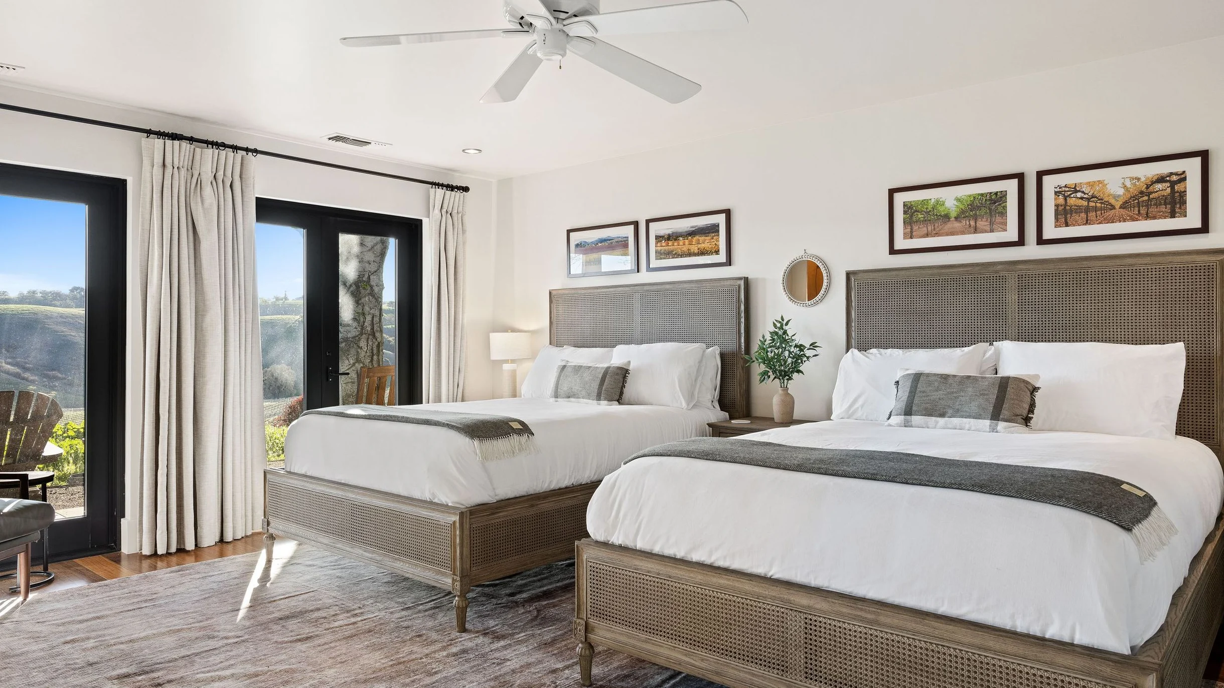 Wander Paso Robles Vines #91