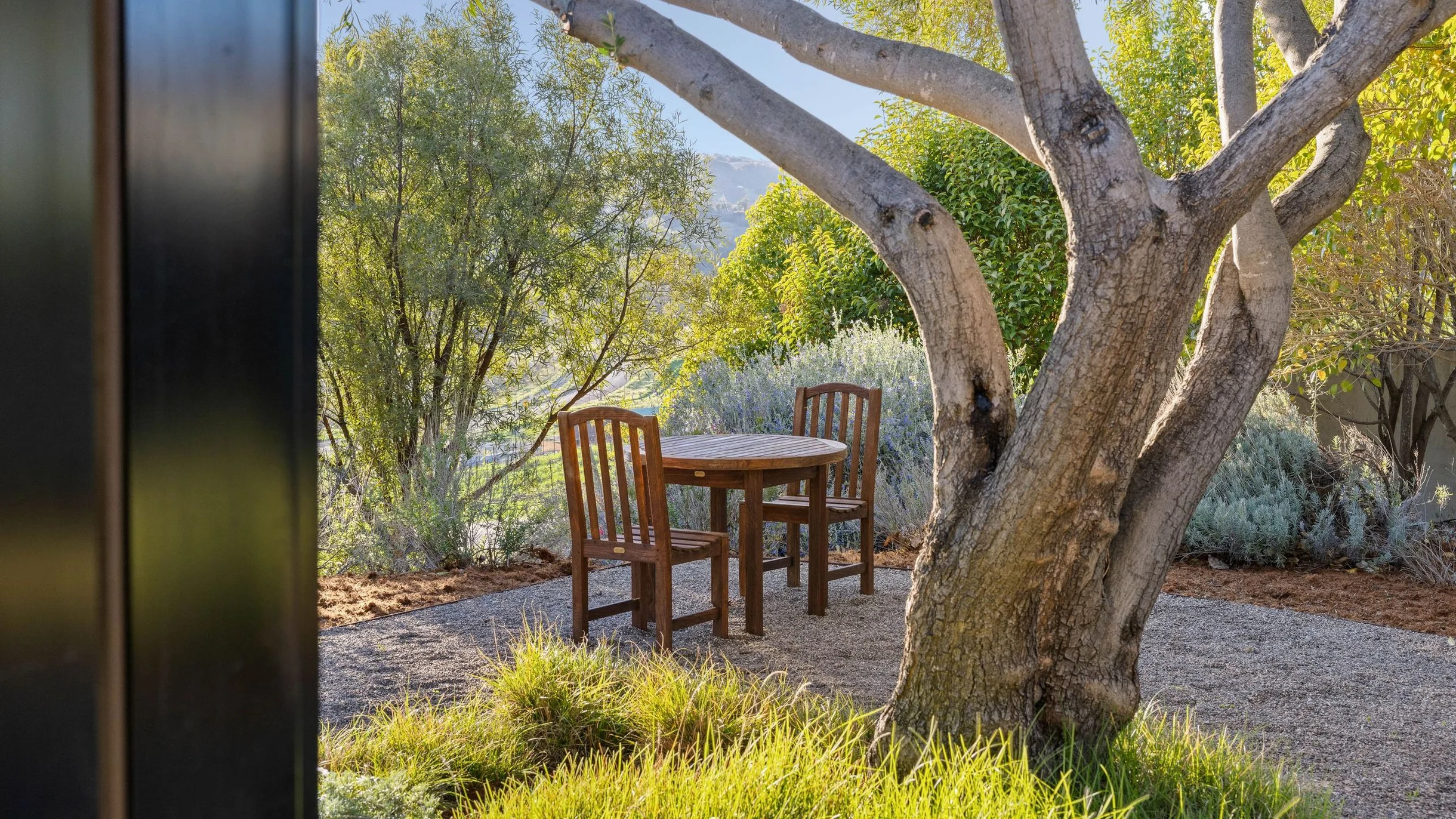 Wander Paso Robles Vines #87