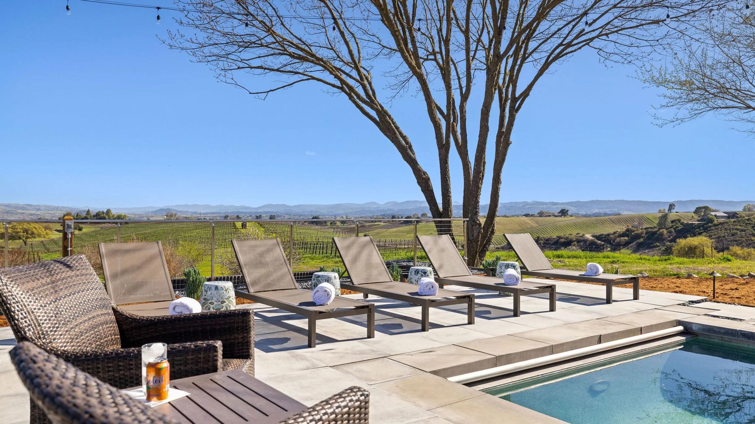 Wander Paso Robles Vines #79