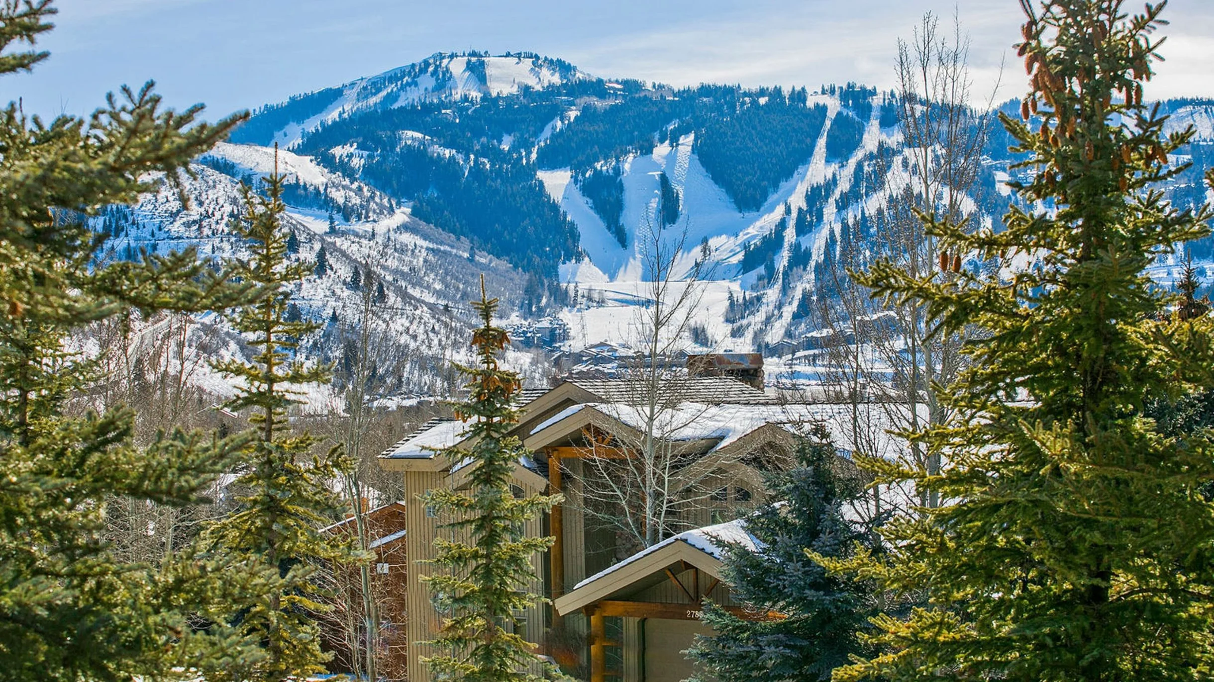 Wander Park City Glades #74